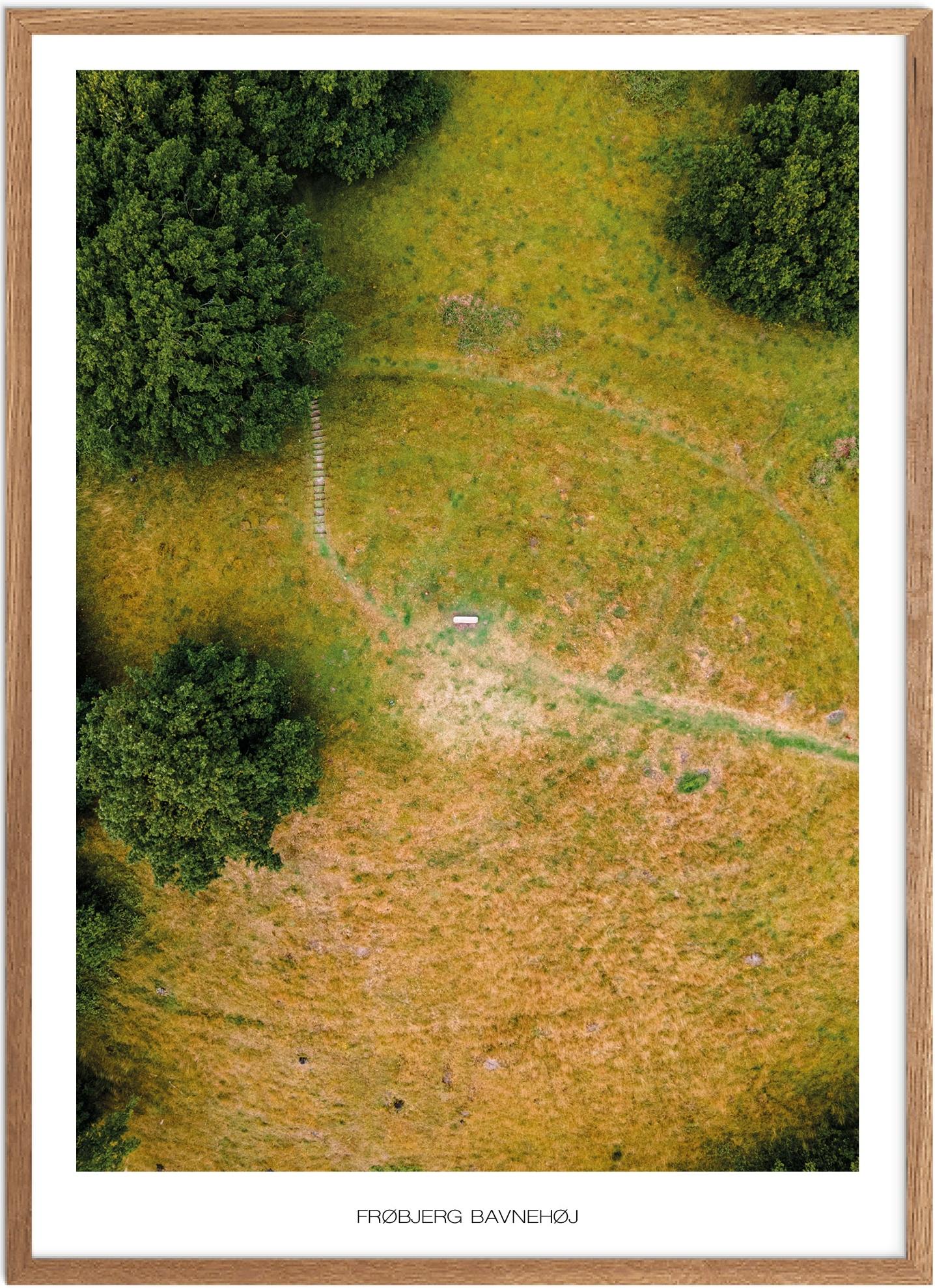 Plakat Frøbjerg Bavnehøj Naturplakat Plakater Fyn Plakat Plakatsnedkeren Drone Plakater - Plakatsnedkeren Plakater
