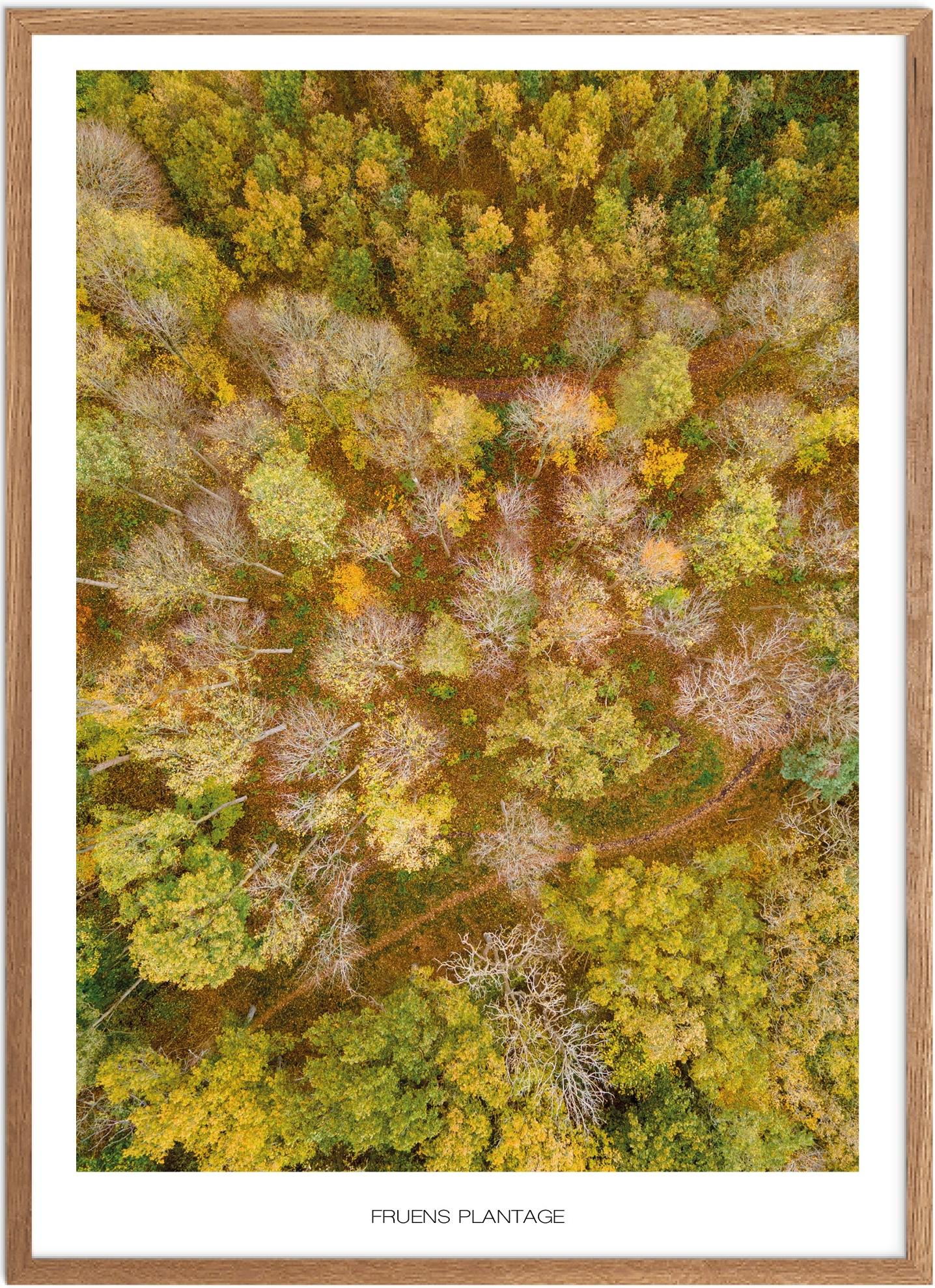 Plakat Fruens Plantage Naturplakat Recommended Products Seguno Plakat Plakatsnedkeren Drone Plakater - Plakatsnedkeren Plakater