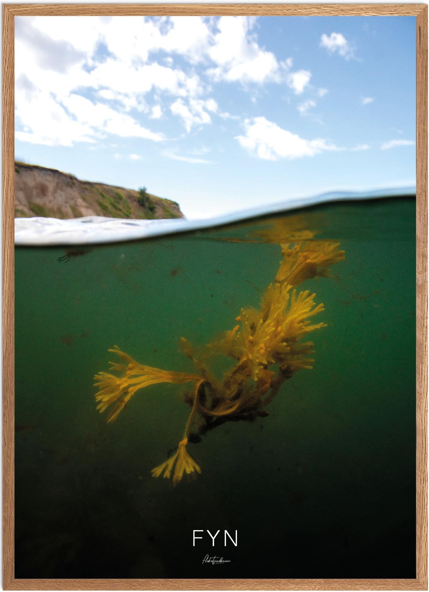 Plakat Fyn Naturplakat Recommended Products Seguno Plakat Plakatsnedkeren - Plakatsnedkeren Plakater
