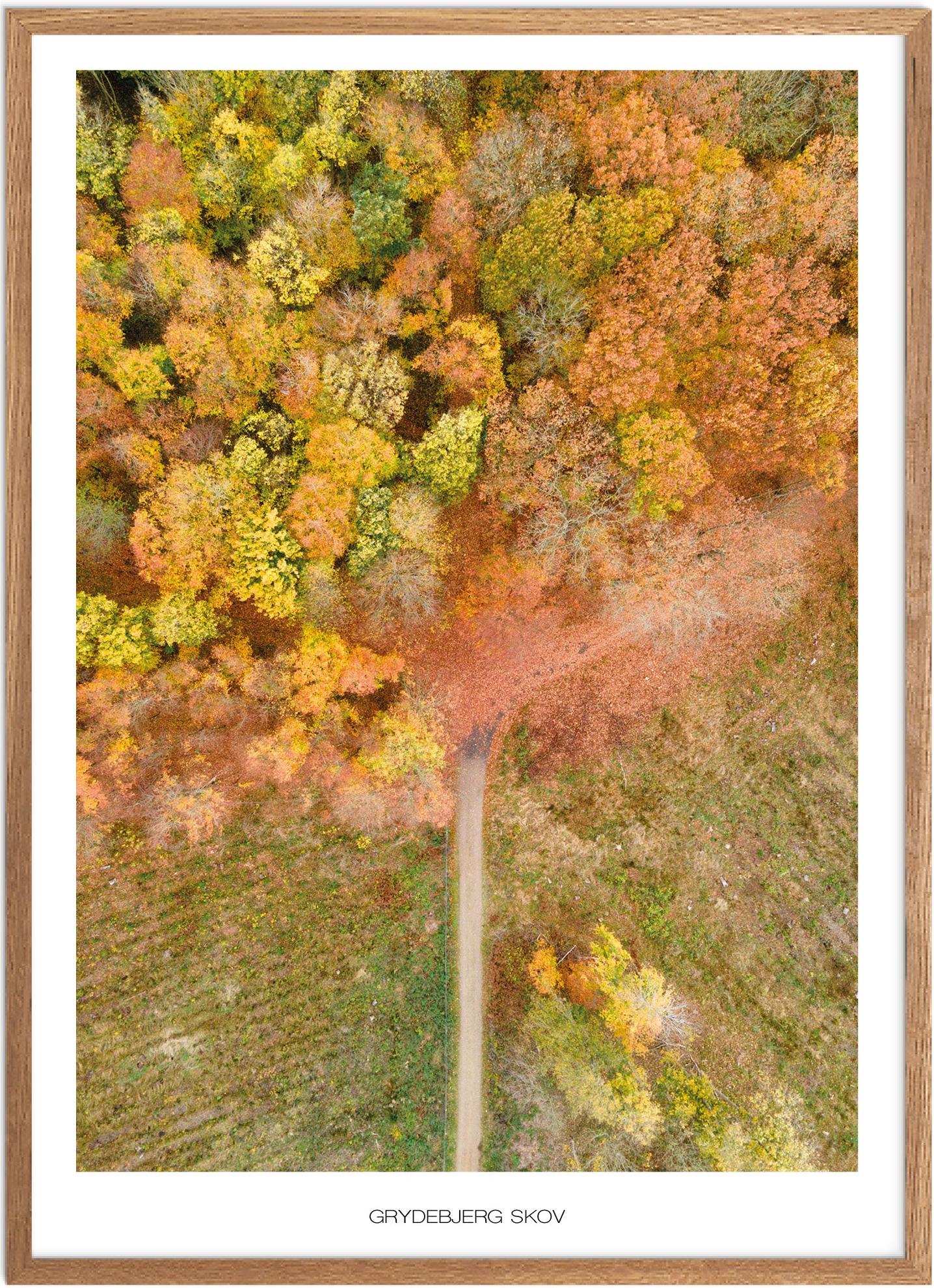 Plakat Grydebjerg Skov Naturplakat Plakater Vestsjælland Plakat Plakatsnedkeren Plakater Østsjælland - Plakatsnedkeren Plakater