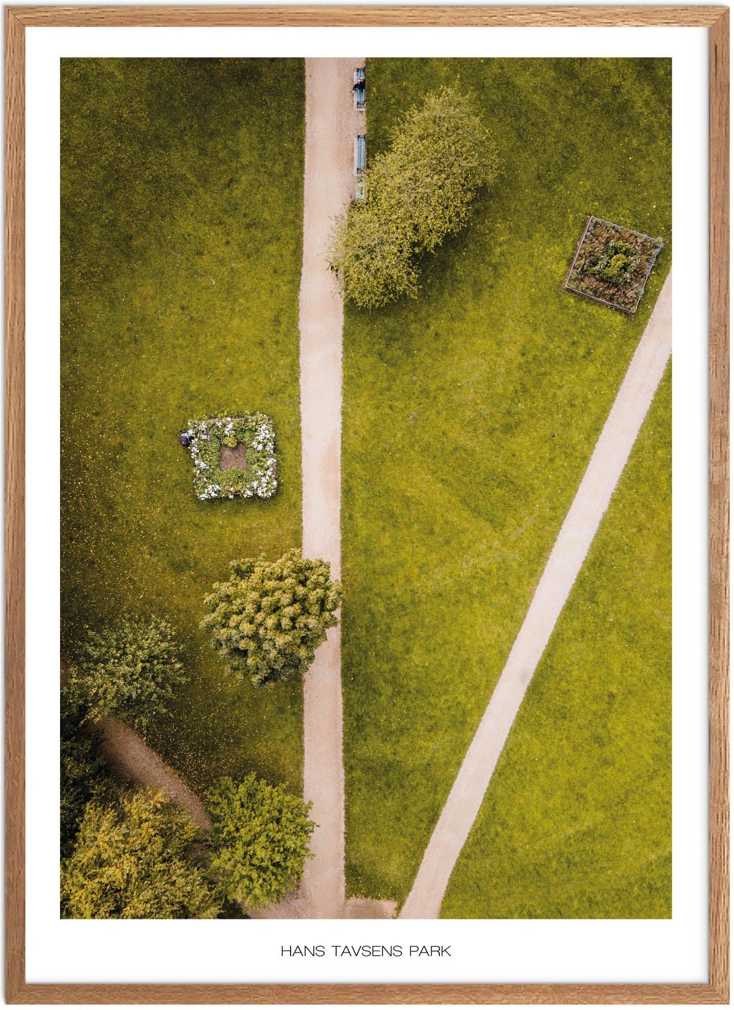 Plakat Hans Tavsens Park Naturplakat Plakater København Plakat Plakatsnedkeren Drone Plakater - Plakatsnedkeren Plakater