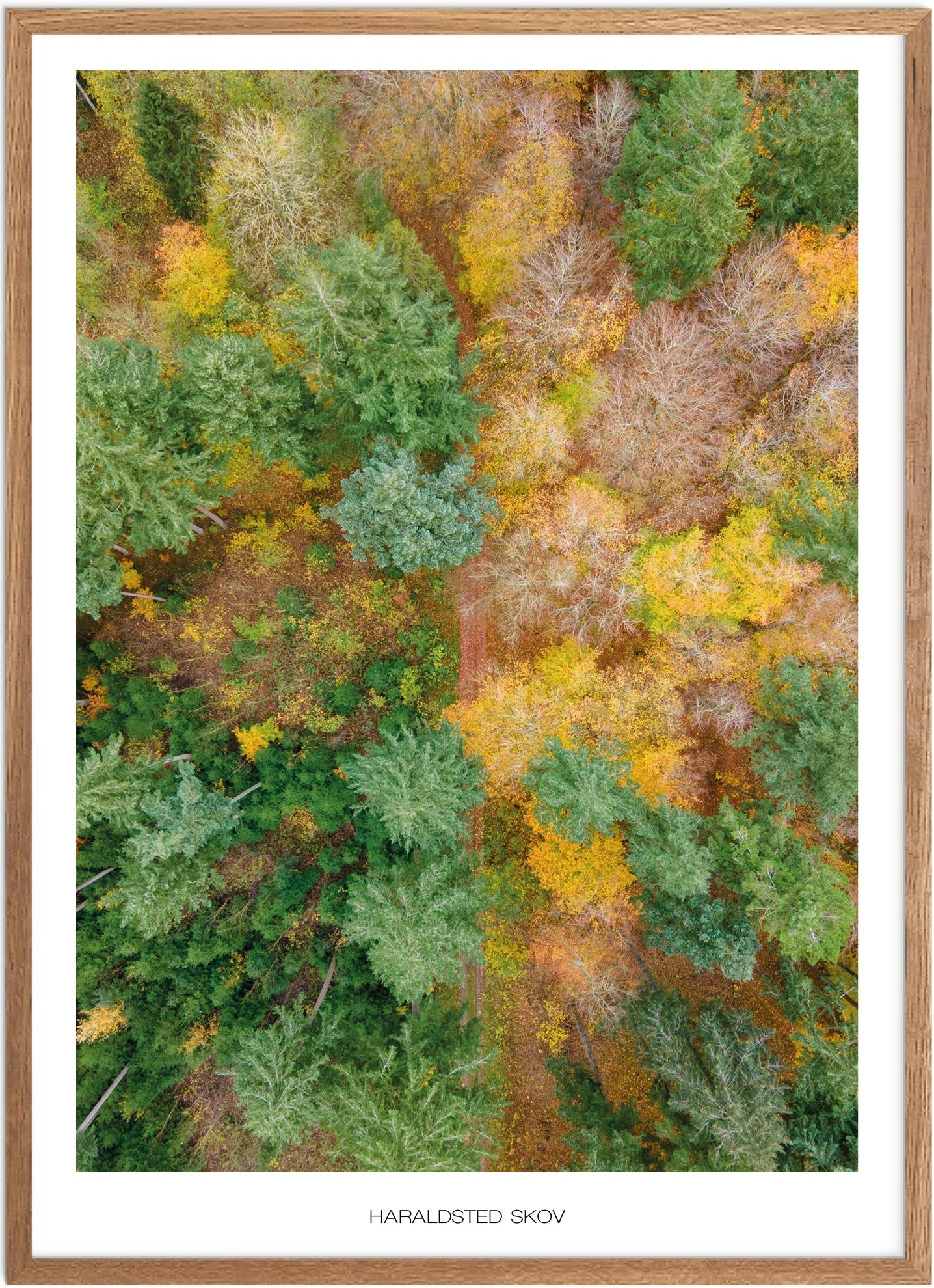 Plakat Haraldsted Skov Naturplakat Recommended Products Seguno Plakat Plakatsnedkeren Drone Plakater - Plakatsnedkeren Plakater
