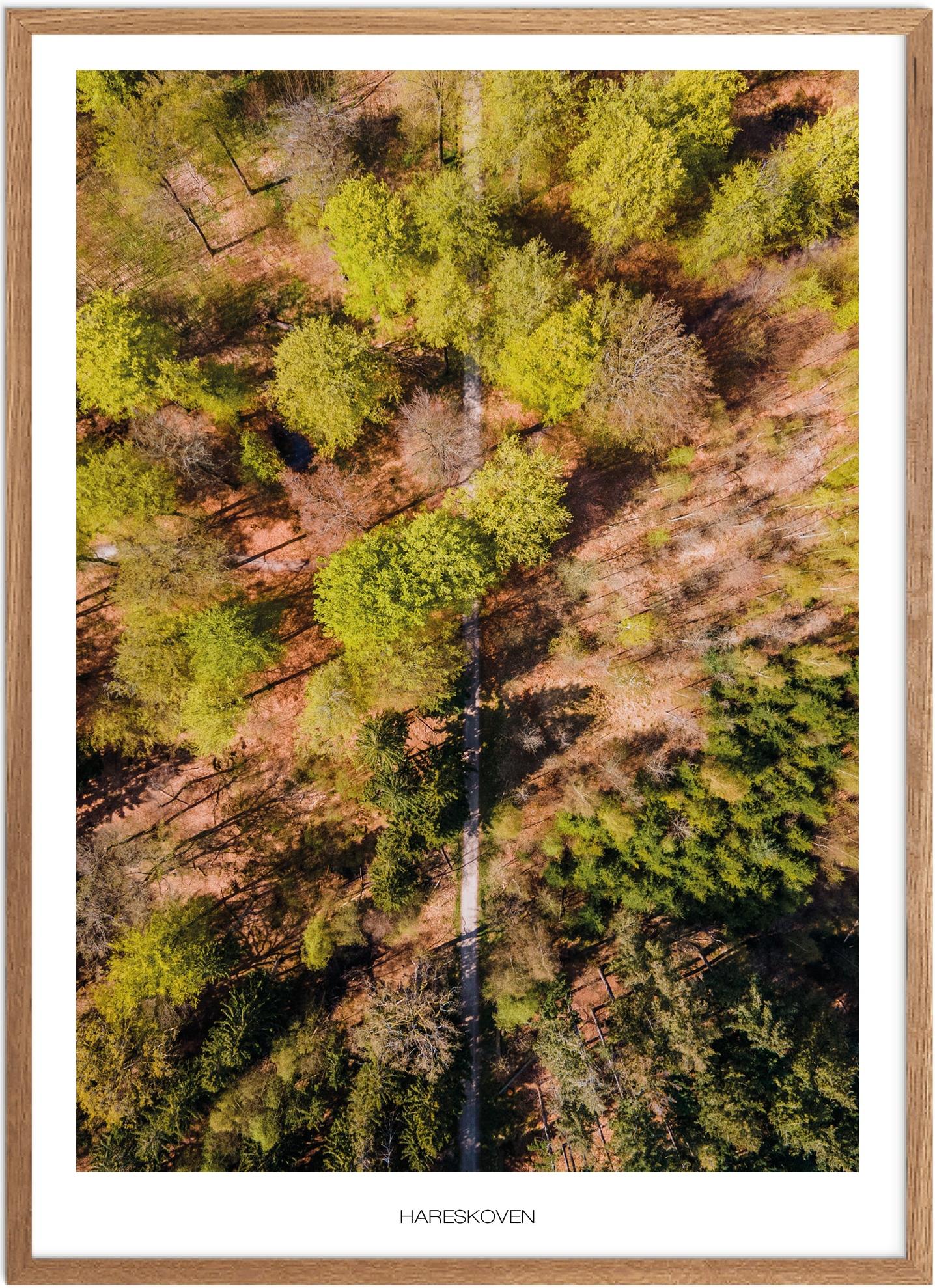 Plakat Hareskoven Naturplakat Plakater Nordsjælland Plakat Plakatsnedkeren Drone Plakater - Plakatsnedkeren Plakater