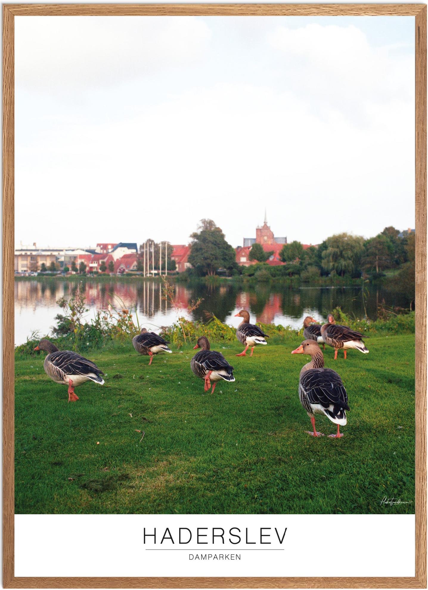 Plakat Haderslev Dampark Naturplakat Recommended Products Seguno Plakat Plakatsnedkeren - Plakatsnedkeren Plakater
