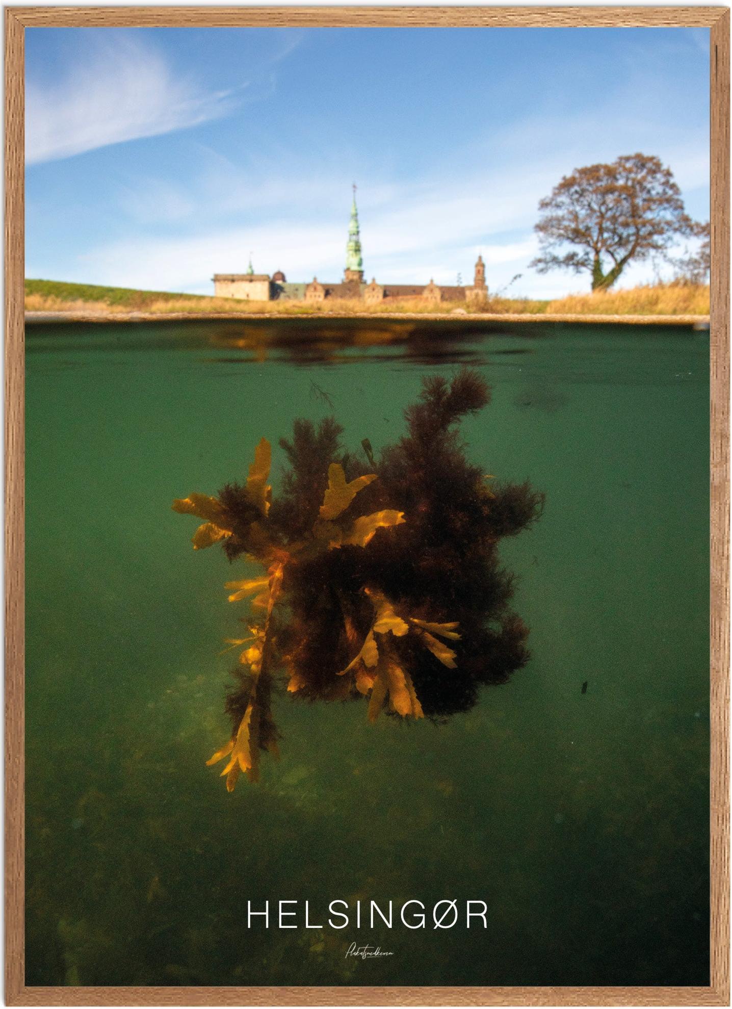 Plakat Helsingør Naturplakat Recommended Products Seguno Plakat Plakatsnedkeren - Plakatsnedkeren Plakater