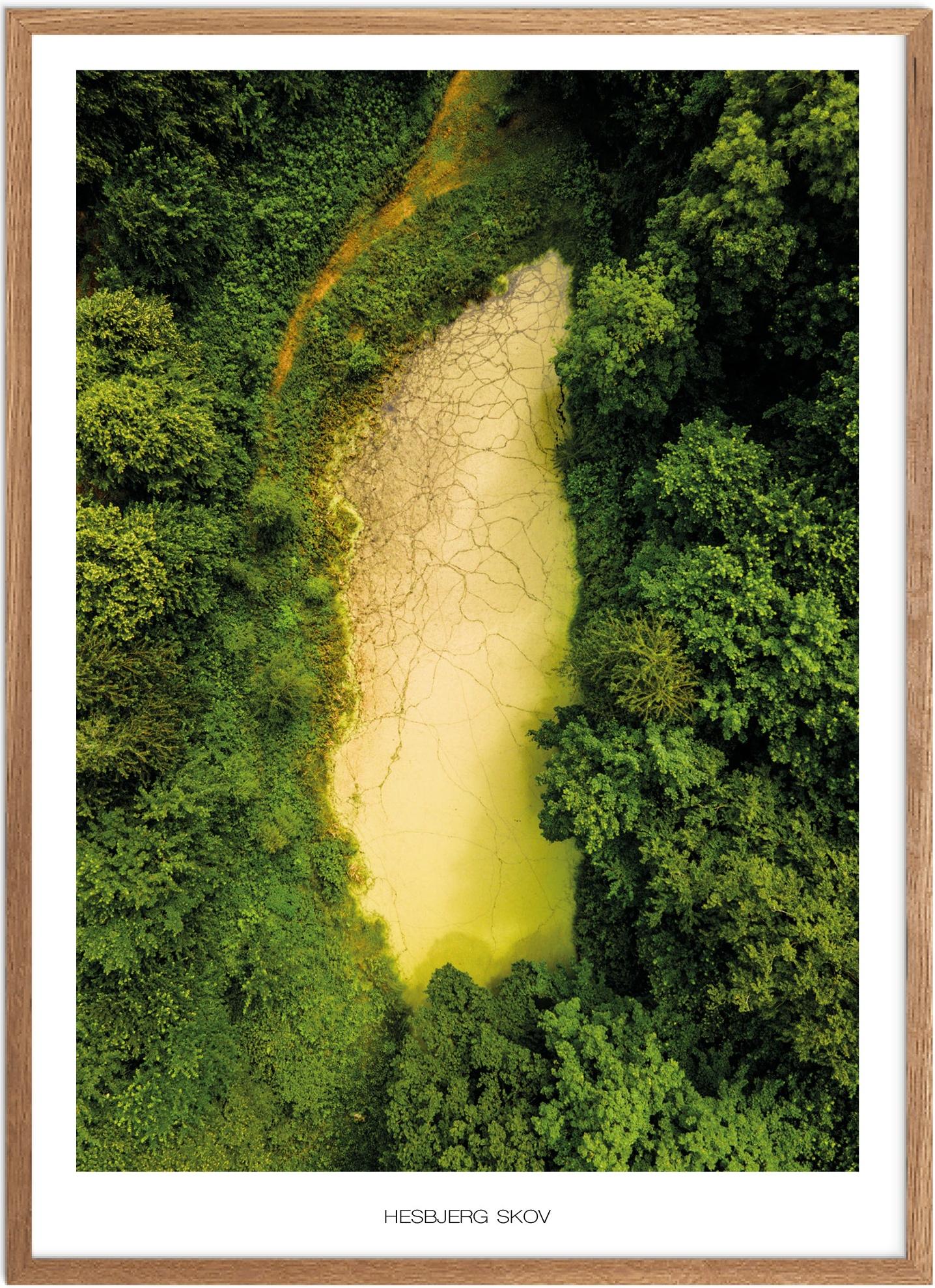 Plakat Hesbjerg Skov Naturplakat Plakater Fyn Plakat Plakatsnedkeren Drone Plakater - Plakatsnedkeren Plakater