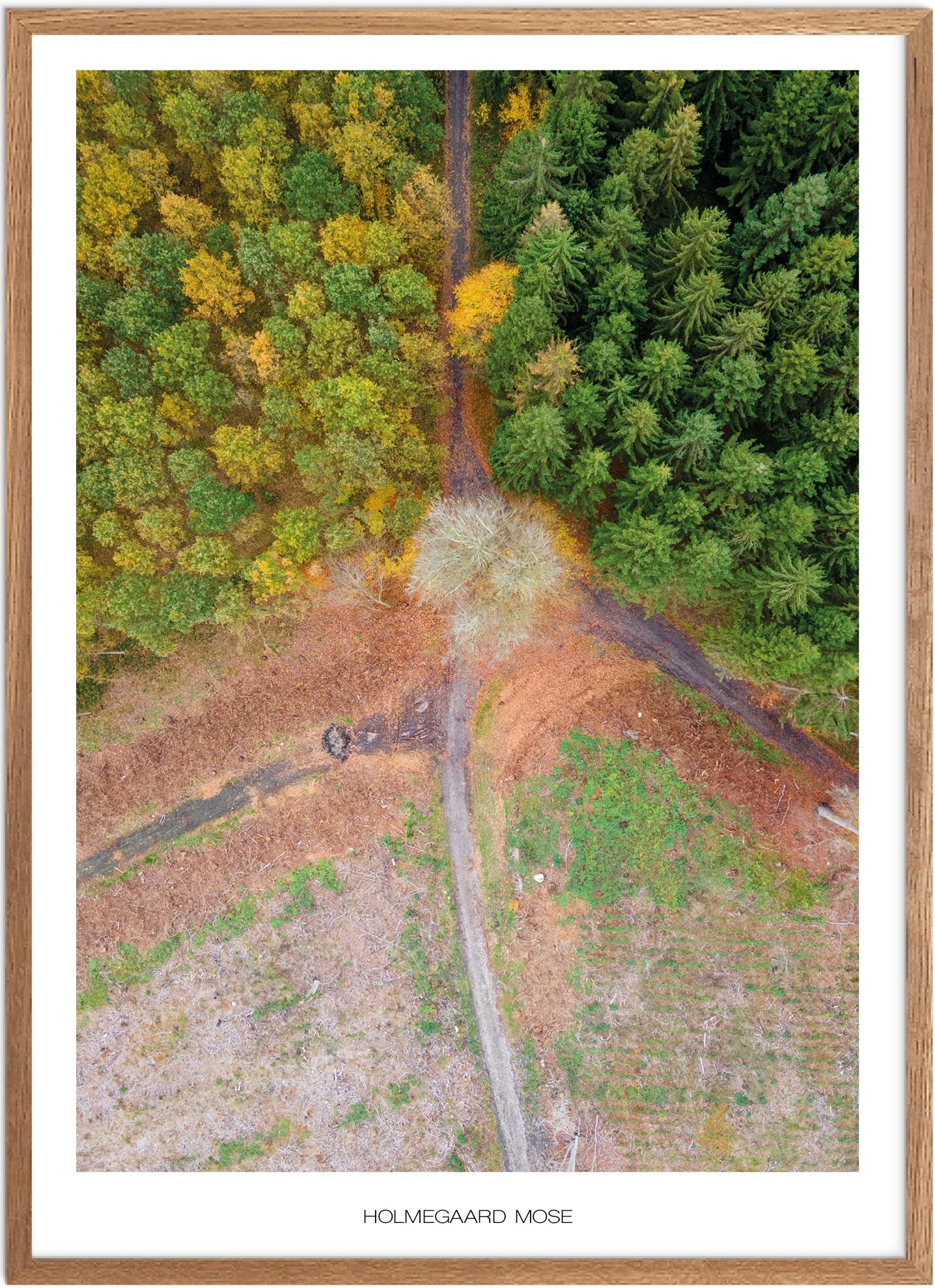 Plakat Holmegaard Naturplakat Recommended Products Seguno Plakat Plakatsnedkeren Drone Plakater - Plakatsnedkeren Plakater