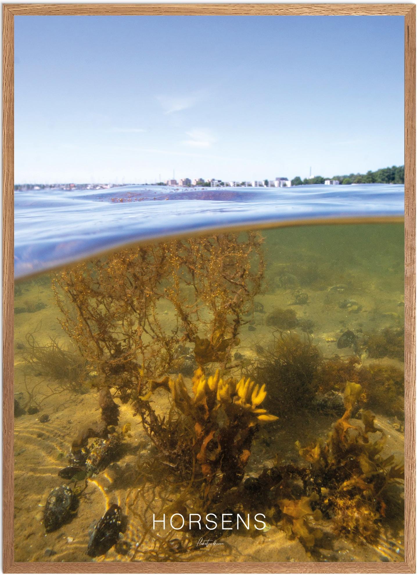 Plakat Horsens Naturplakat Recommended Products Seguno Plakat Plakatsnedkeren - Plakatsnedkeren Plakater