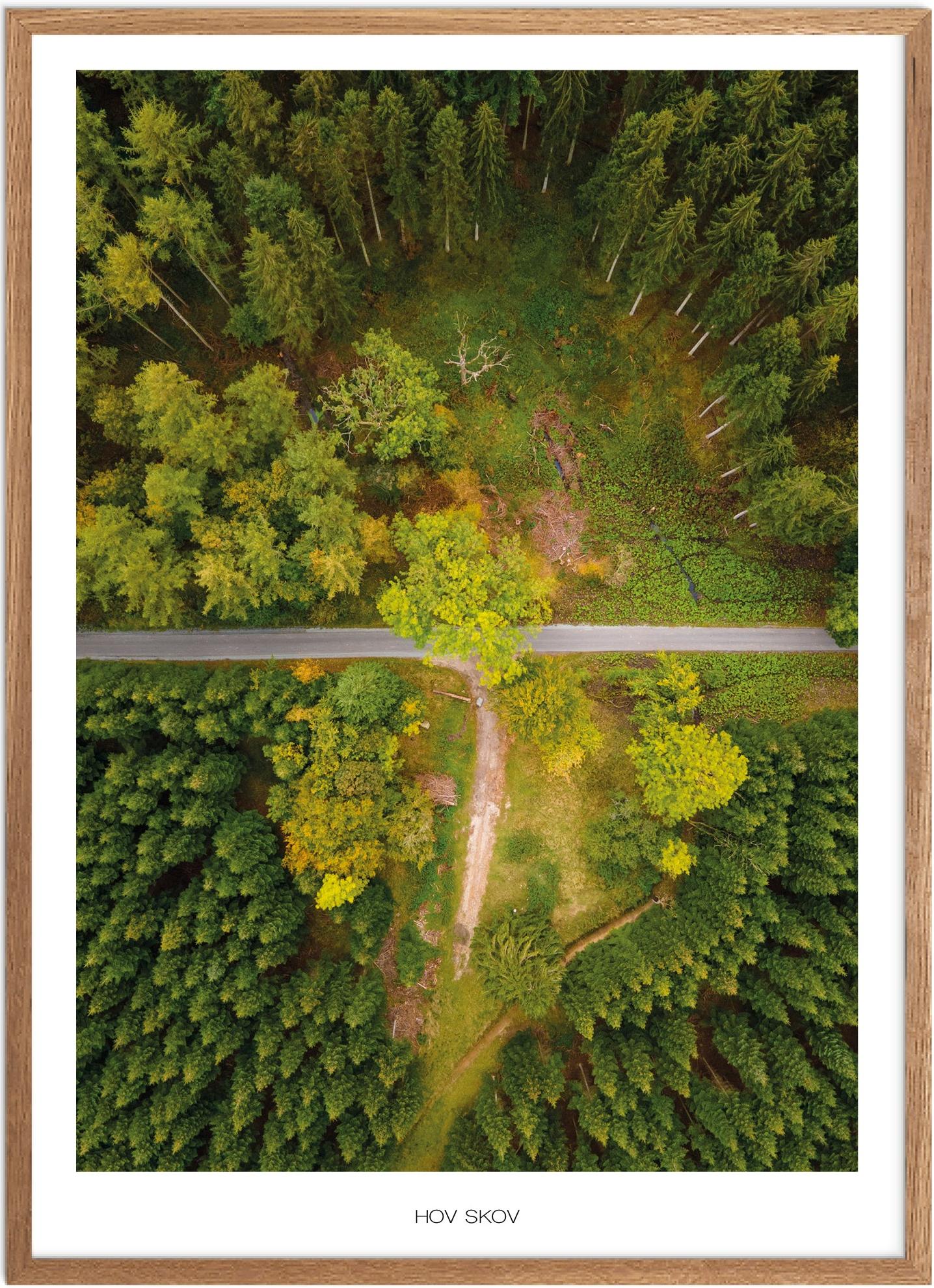 Plakat Hov Skov Naturplakat Recommended Products Seguno Plakat Plakatsnedkeren Drone Plakater - Plakatsnedkeren Plakater
