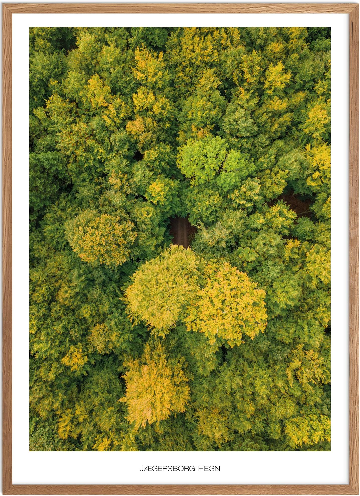 Plakat Jærgersborg Hegn Naturplakat Plakater Nordsjælland Plakat Plakatsnedkeren Drone Plakater - Plakatsnedkeren Plakater