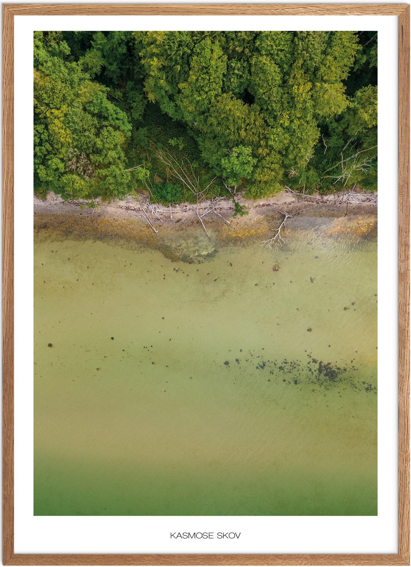 Plakat Kasmose Skov Naturplakat Plakater Fyn Plakat Plakatsnedkeren Drone Plakater - Plakatsnedkeren Plakater