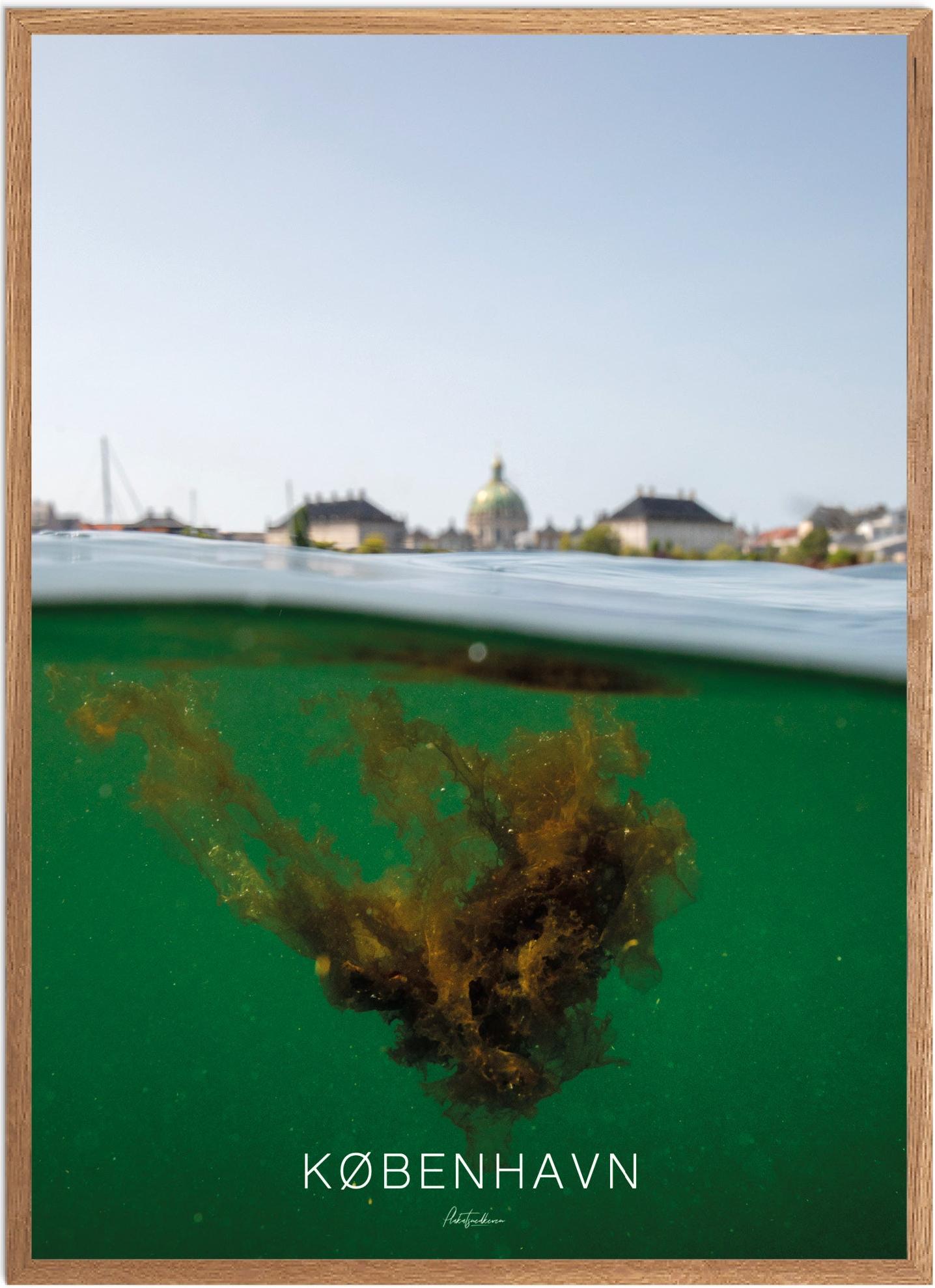Plakat København Naturplakat Recommended Products Seguno Plakat Plakatsnedkeren - Plakatsnedkeren Plakater