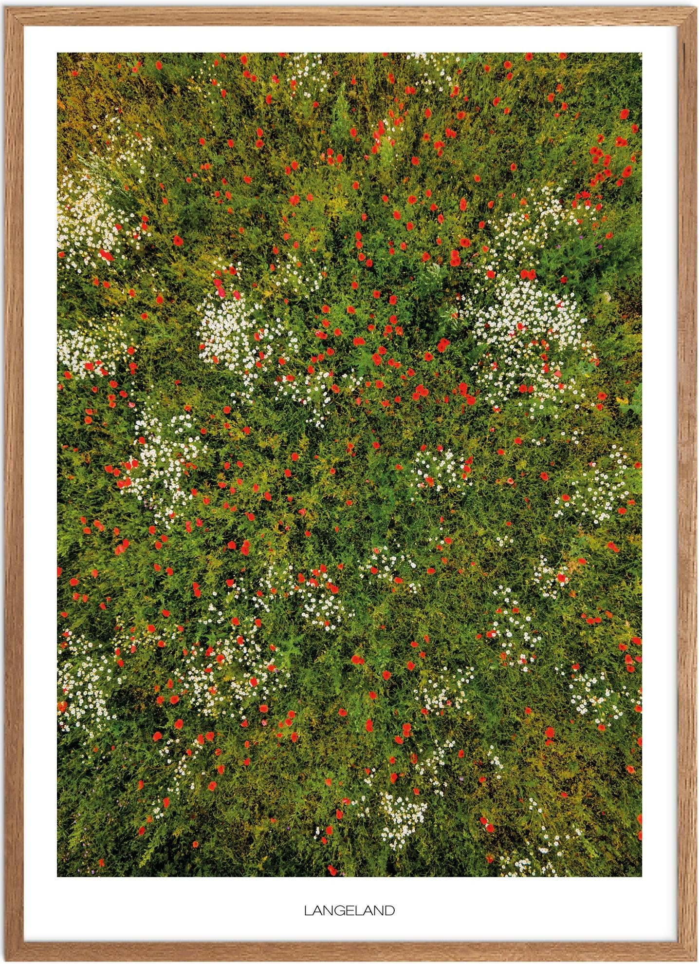 Plakat Langeland Naturplakat Plakater Fyn Plakat Plakatsnedkeren Drone Plakater - Plakatsnedkeren Plakater