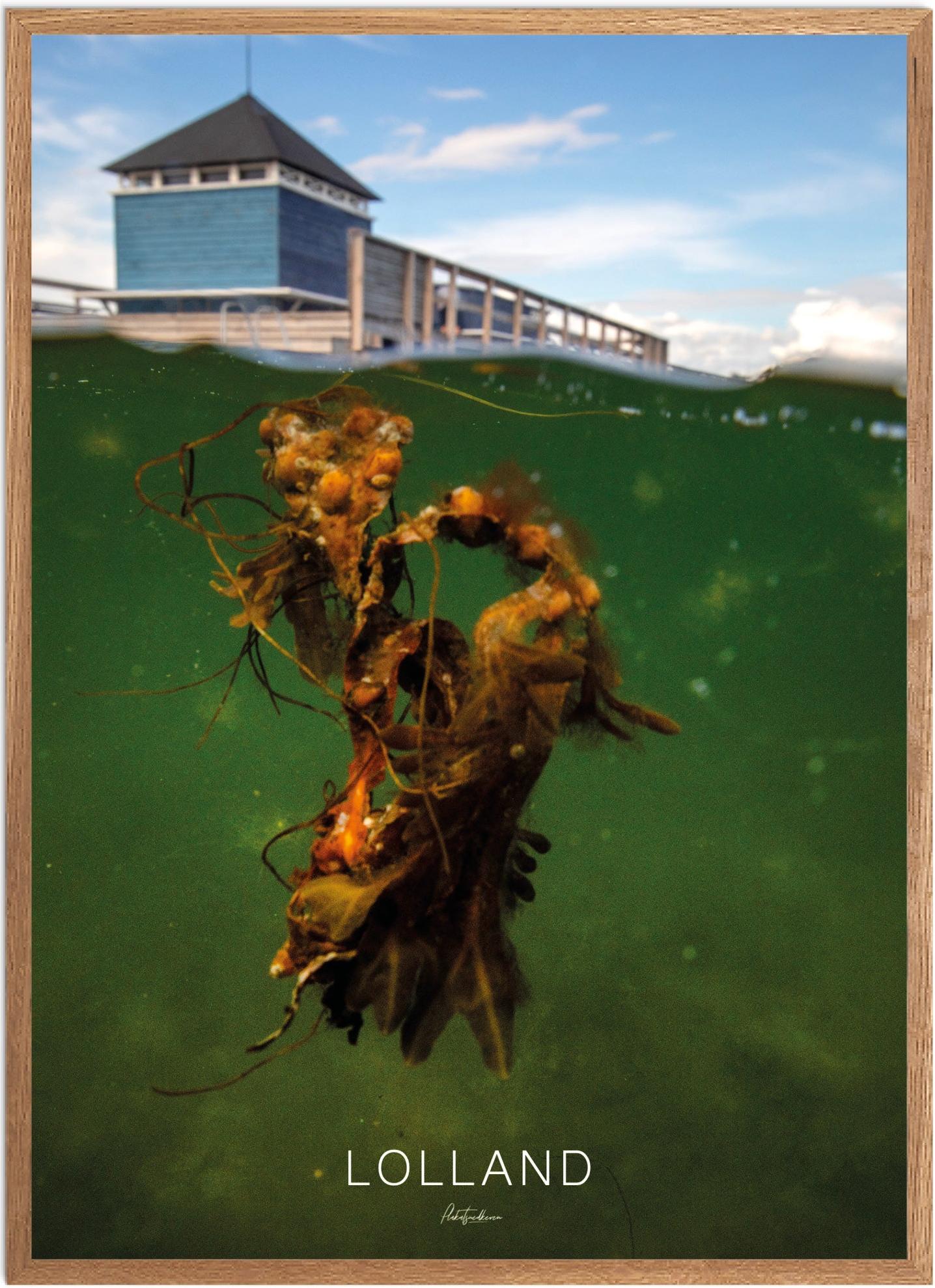 Plakat Lolland Naturplakat Recommended Products Seguno Plakat Plakatsnedkeren - Plakatsnedkeren Plakater