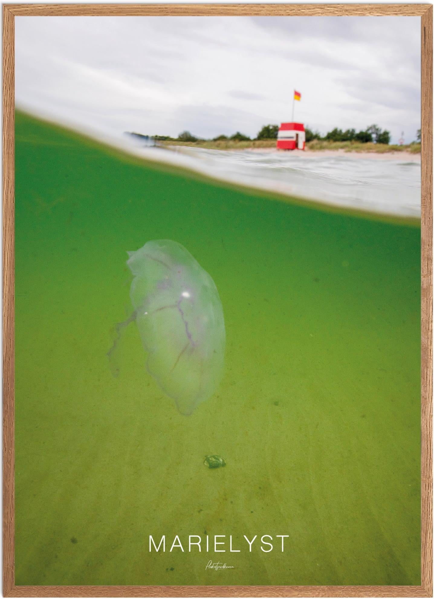 Plakat Marielyst Naturplakat Recommended Products Seguno Plakat Plakatsnedkeren - Plakatsnedkeren Plakater
