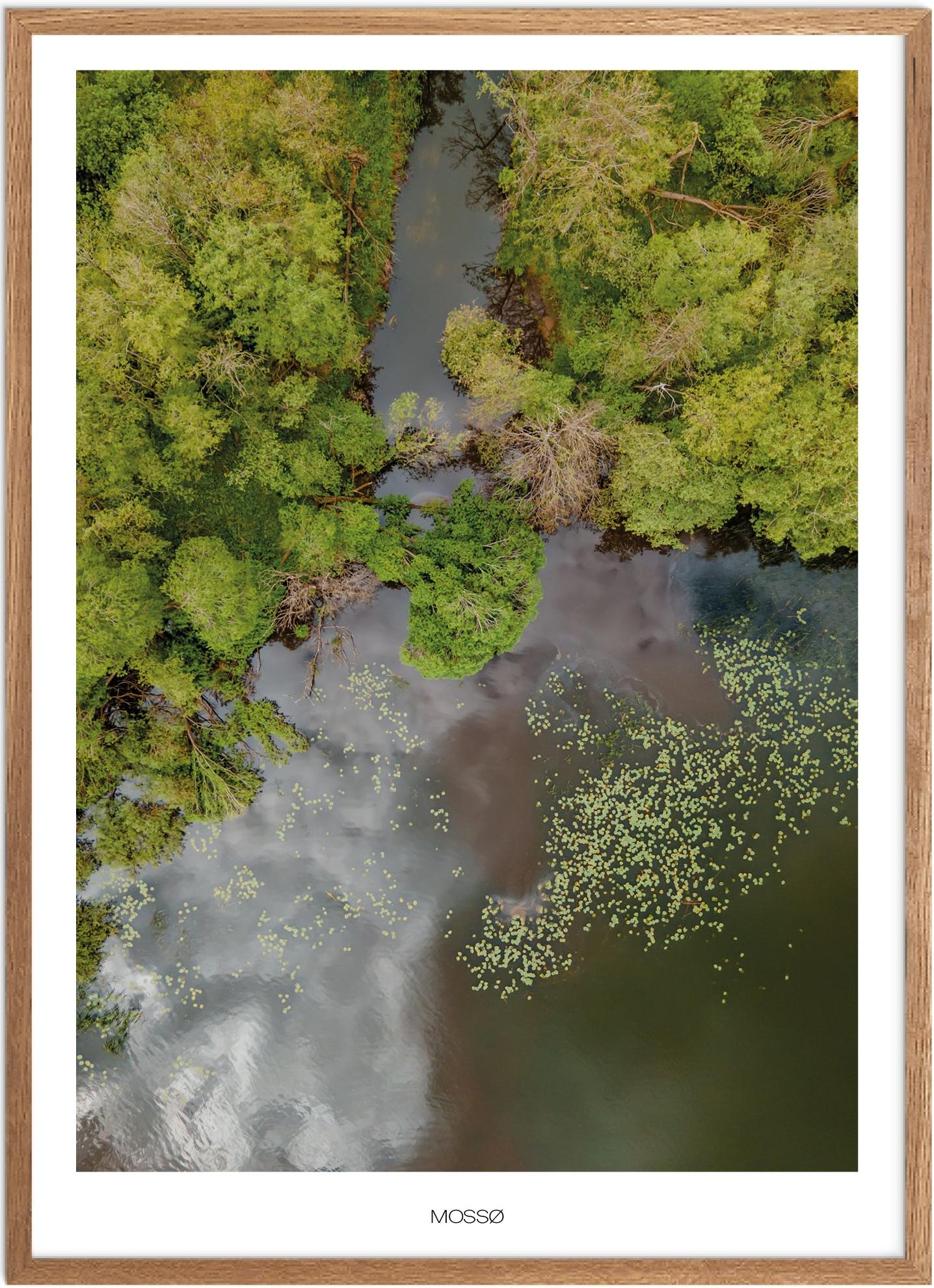 Plakat Mossø Naturplakat Plakater Østjylland Plakat Plakatsnedkeren Plakater Midtjylland - Plakatsnedkeren Plakater