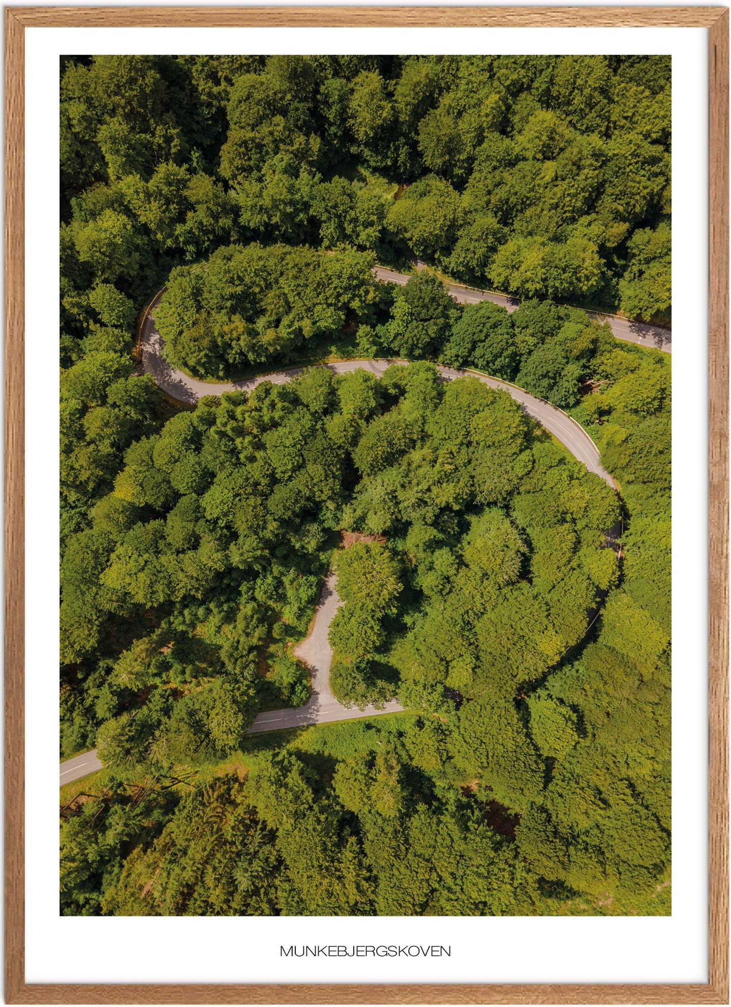 Plakat Munkebjergskoven Naturplakat Plakater Østjylland Plakat Plakatsnedkeren Drone Plakater - Plakatsnedkeren Plakater