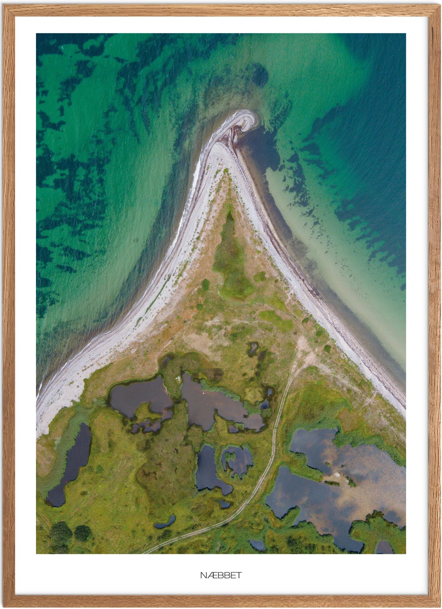 Plakat Næbbet Naturplakat Recommended Products Seguno Plakat Plakatsnedkeren Det Sydfynske Øhav - Plakatsnedkeren Plakater