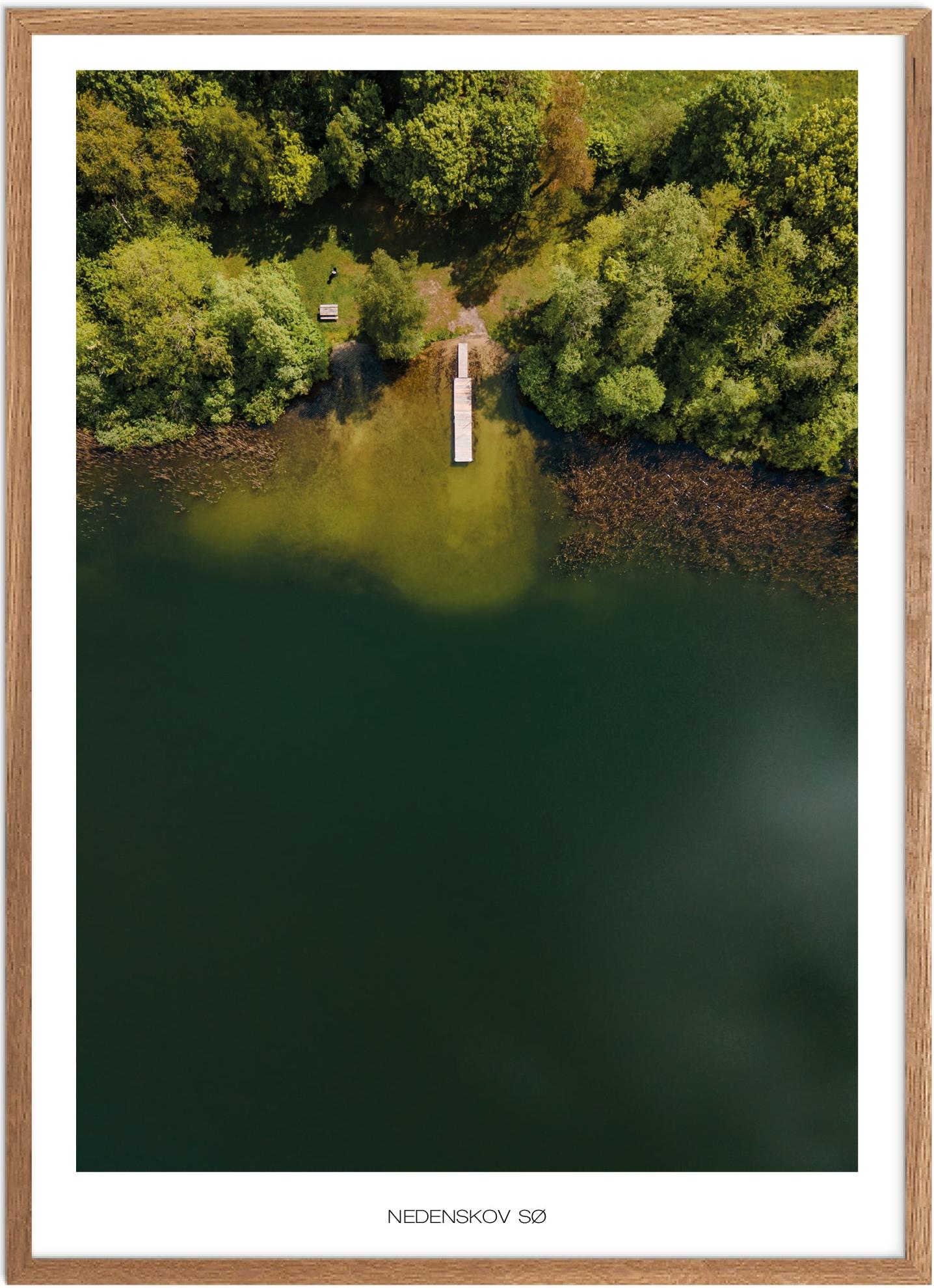 Plakat Nedenskov Naturplakat Plakater Østjylland Plakat Plakatsnedkeren Plakater Midtjylland - Plakatsnedkeren Plakater