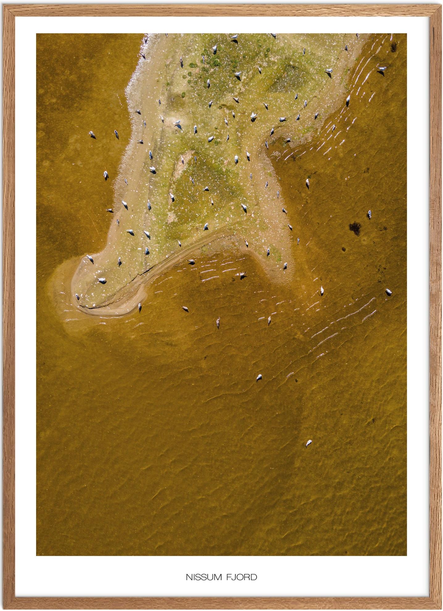 Plakat Nissum Fjord Naturplakat Plakater Vestjylland Plakat Plakatsnedkeren Drone Plakater - Plakatsnedkeren Plakater