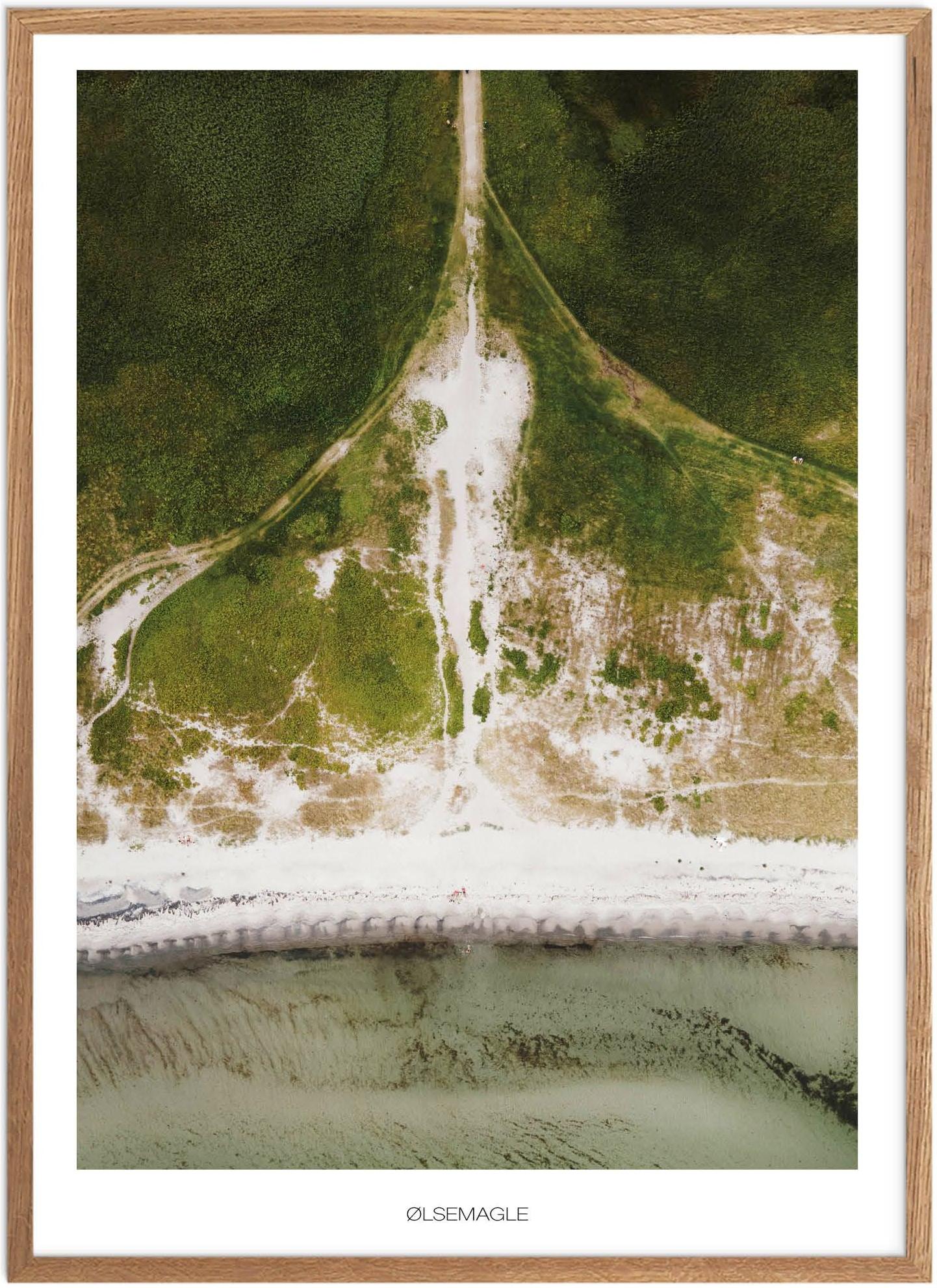 Plakat Ølsemagle Revle Naturplakat Recommended Products Seguno Plakat Plakatsnedkeren Drone Plakater - Plakatsnedkeren Plakater