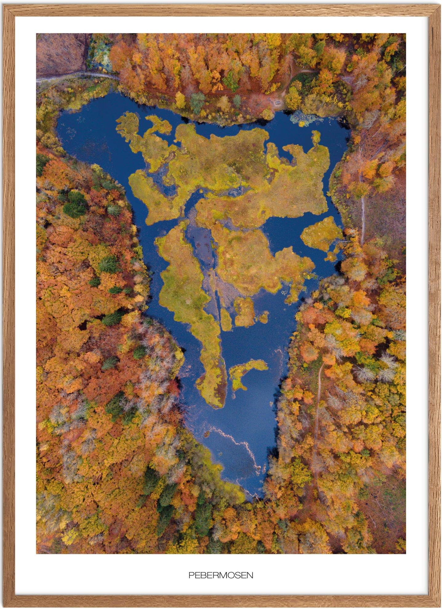Plakat Pebermosen Naturplakat Plakater Nordjylland Plakat Plakatsnedkeren Drone Plakater - Plakatsnedkeren Plakater