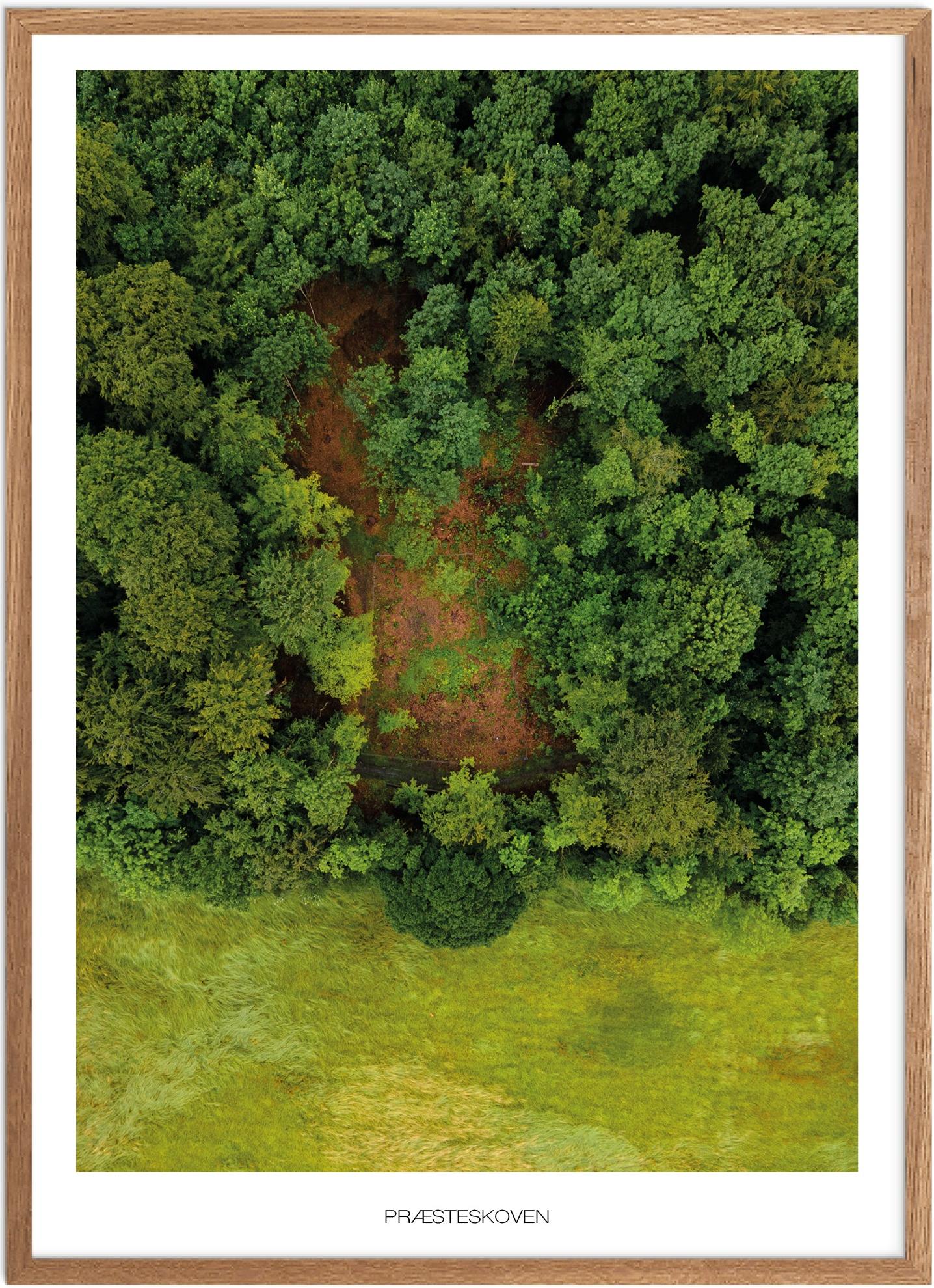 Plakat Præsteskoven Naturplakat Plakater Fyn Plakat Plakatsnedkeren Drone Plakater - Plakatsnedkeren Plakater