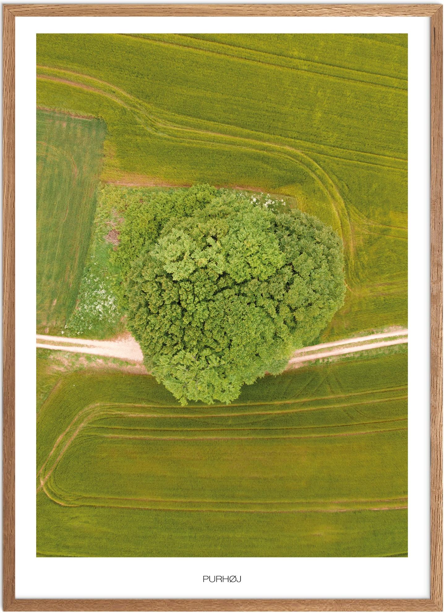 Plakat Purhøj Naturplakat Plakater Østjylland Plakat Plakatsnedkeren Drone Plakater - Plakatsnedkeren Plakater