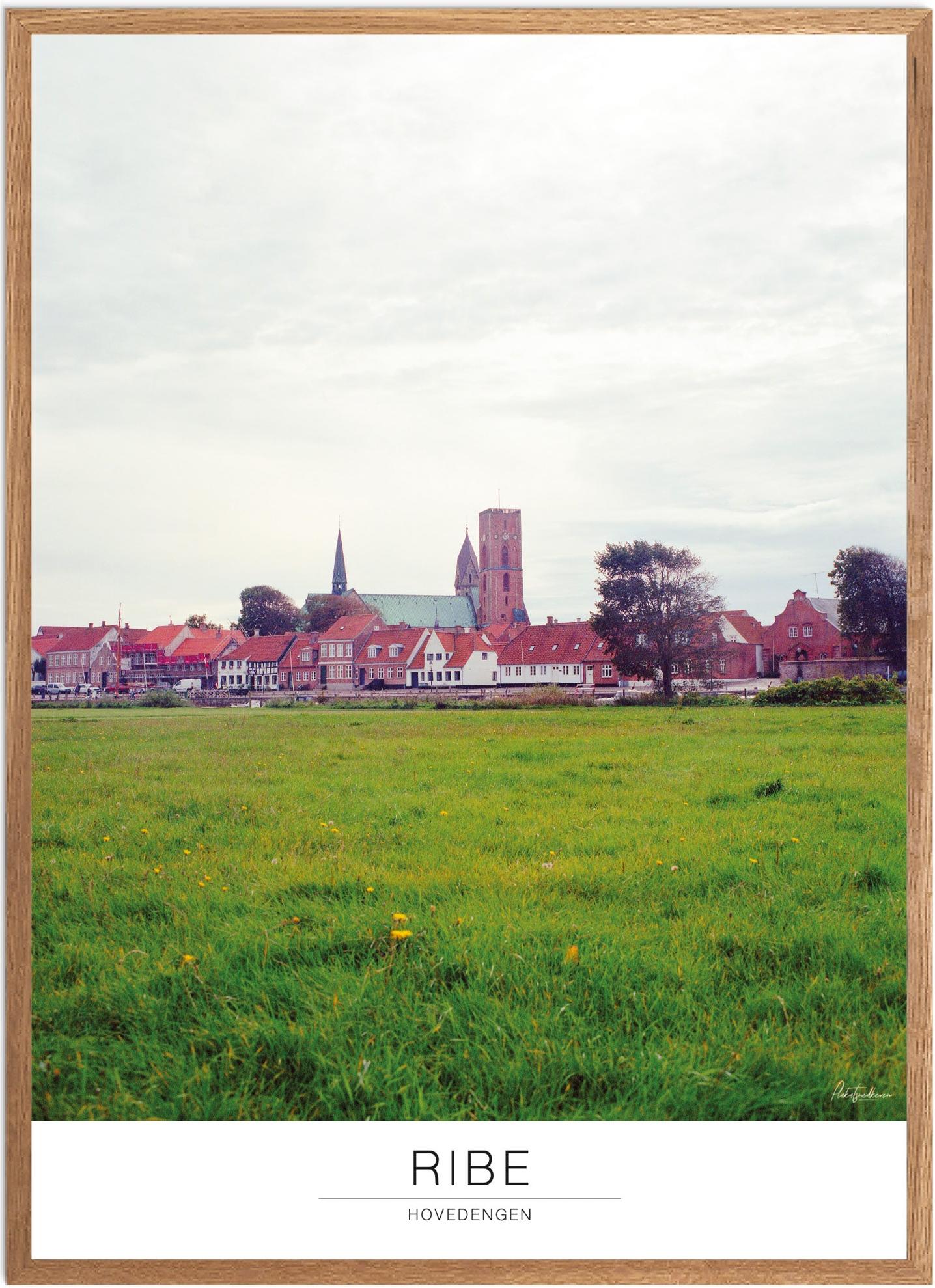 Plakat Hovedengen Ribe Naturplakat Recommended Products Seguno Plakat Plakatsnedkeren - Plakatsnedkeren Plakater