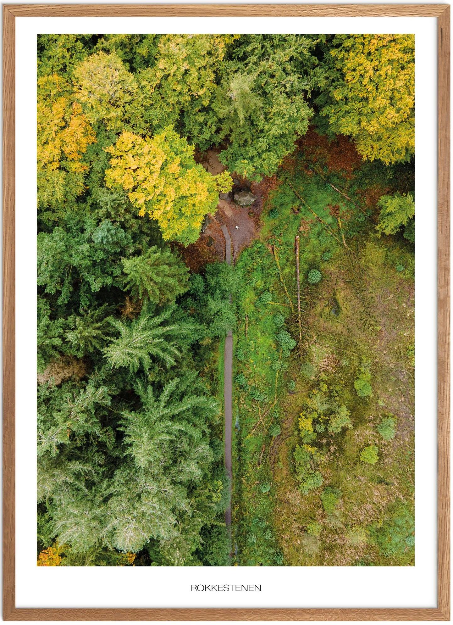 Plakat Rokkestenen Naturplakat Plakater Bornholm Plakat Plakatsnedkeren - Plakatsnedkeren Plakater