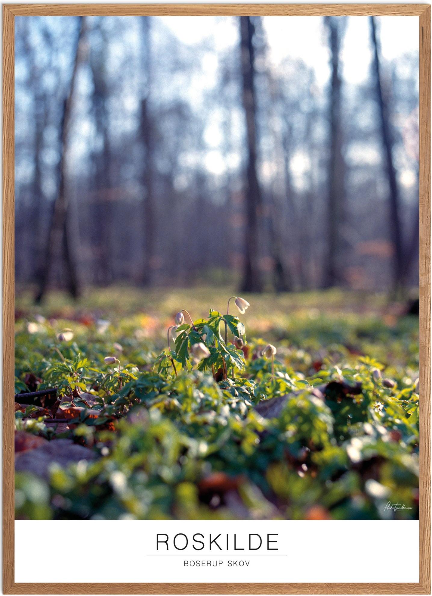 Plakat Boserup Skov Naturplakat Recommended Products Seguno Plakat Plakatsnedkeren - Plakatsnedkeren Plakater