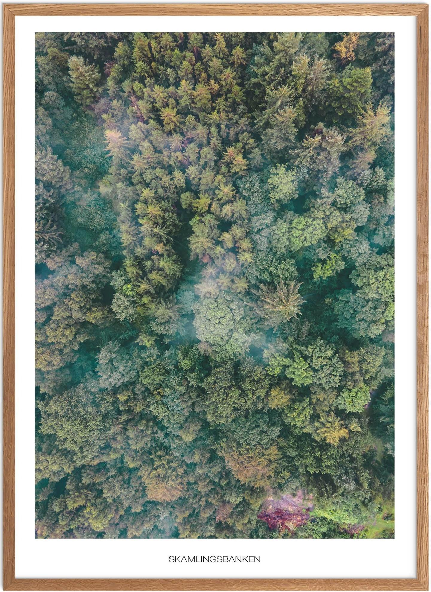 Plakat Skamlingsbanken Skov Naturplakat Plakater Sydjylland Plakat Plakatsnedkeren Drone Plakater - Plakatsnedkeren Plakater