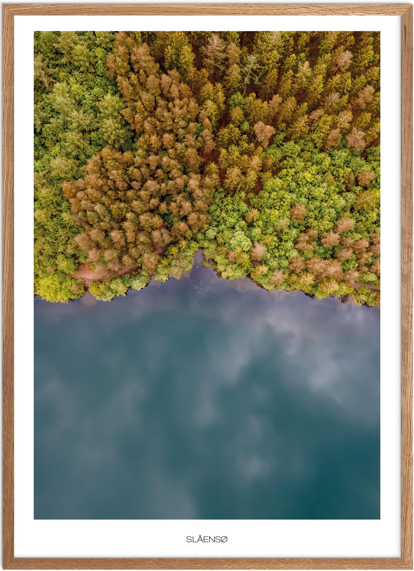 Plakat Slåensø Naturplakat Plakater Østjylland Plakat Plakatsnedkeren Plakater Midtjylland - Plakatsnedkeren Plakater