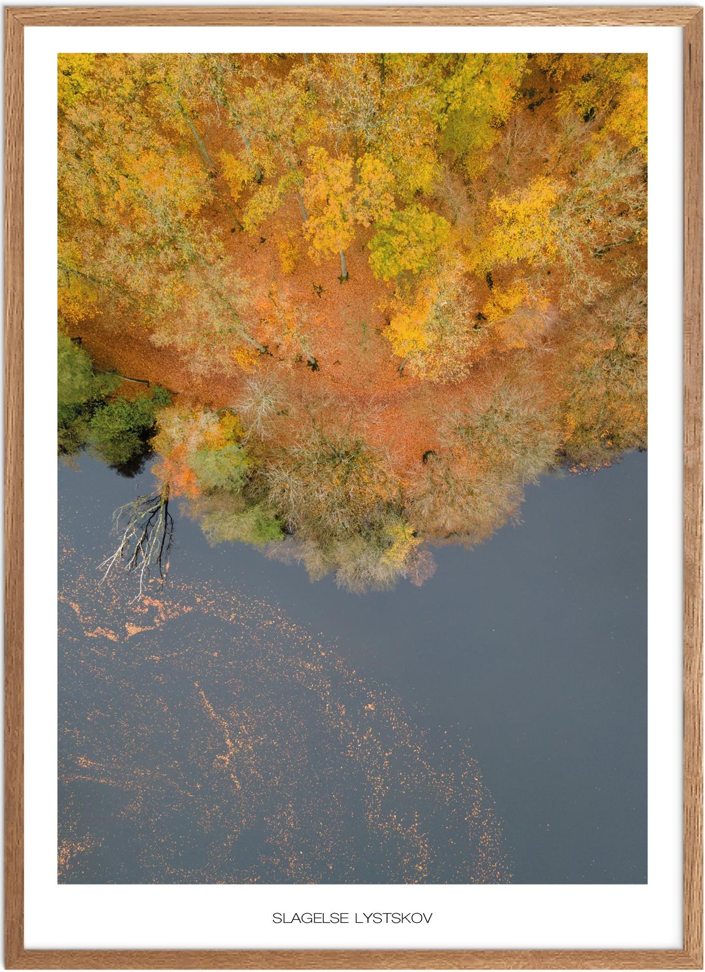 Plakat Slagelse Lystskov Naturplakat Plakater Vestsjælland Plakat Plakatsnedkeren Drone Plakater - Plakatsnedkeren Plakater