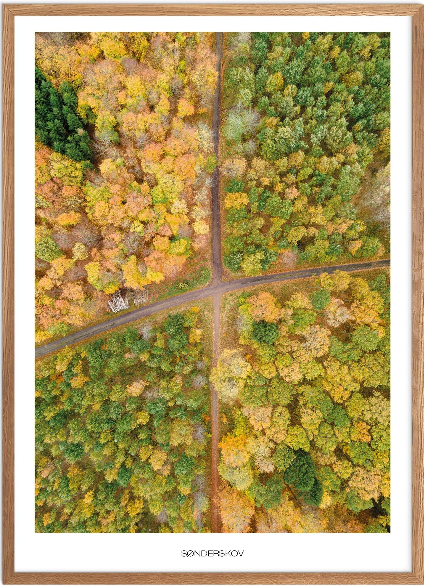 Plakat Sorø Sønderskov Naturplakat Plakater Vestsjælland Plakat Plakatsnedkeren Plakater Østsjælland - Plakatsnedkeren Plakater