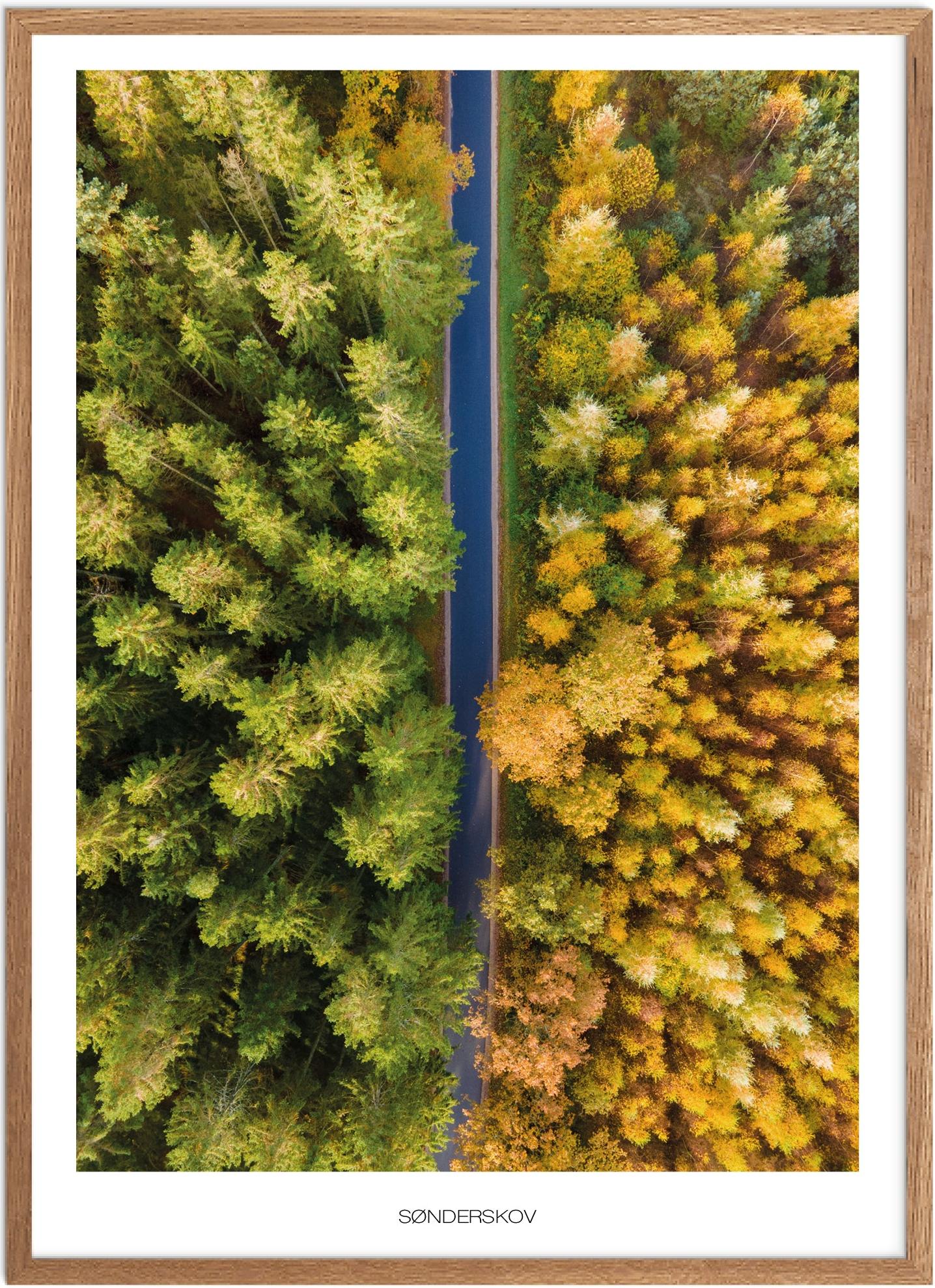 Plakat Sønderskov Naturplakat Plakater Nordjylland Plakat Plakatsnedkeren Drone Plakater - Plakatsnedkeren Plakater