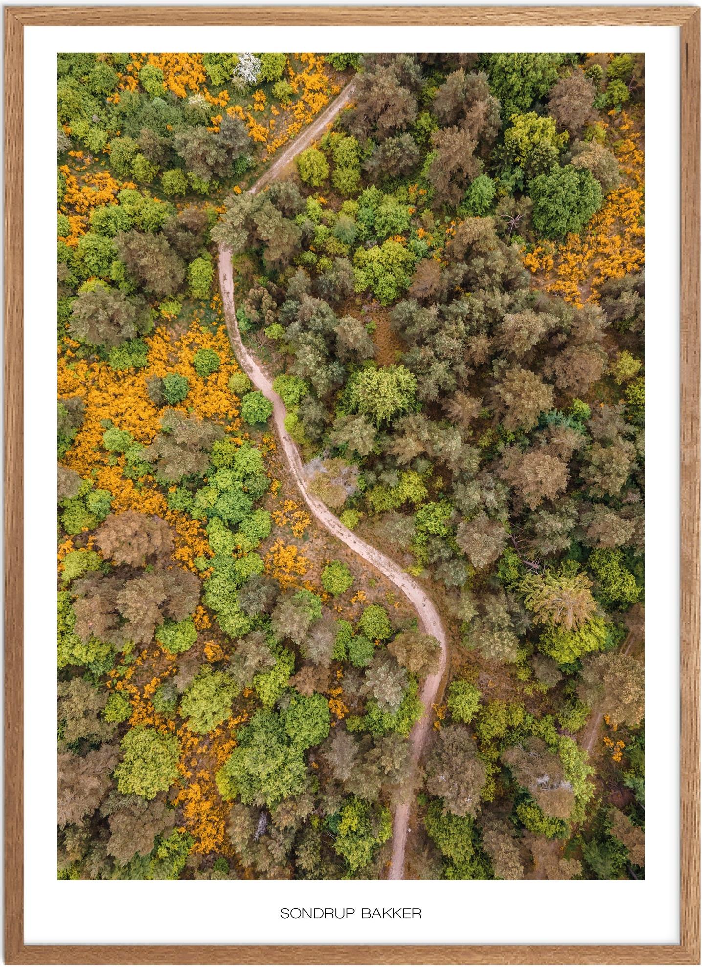 Plakat Sondrup Bakker Naturplakat Plakater Østjylland Plakat Plakatsnedkeren Drone Plakater - Plakatsnedkeren Plakater