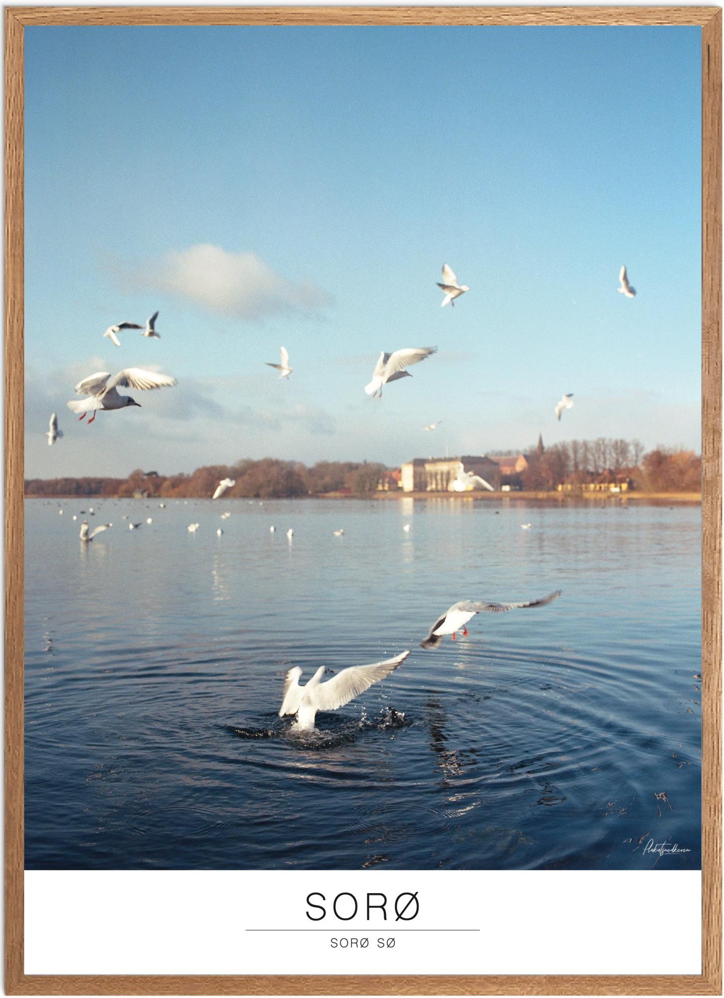 Plakat Sorø Naturplakat Recommended Products Seguno Plakat Plakatsnedkeren - Plakatsnedkeren Plakater