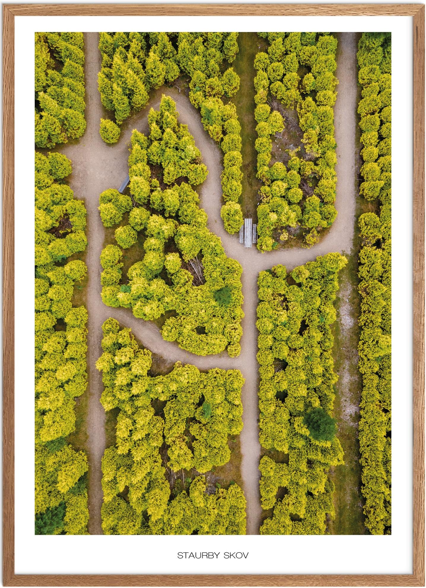 Plakat Staurby Skov Naturplakat Plakater Fyn Plakat Plakatsnedkeren Drone Plakater - Plakatsnedkeren Plakater