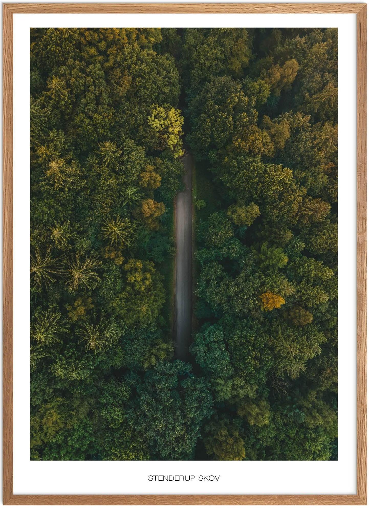 Plakat Stenderup Skov Naturplakat Plakater Sydjylland Plakat Plakatsnedkeren Drone Plakater - Plakatsnedkeren Plakater