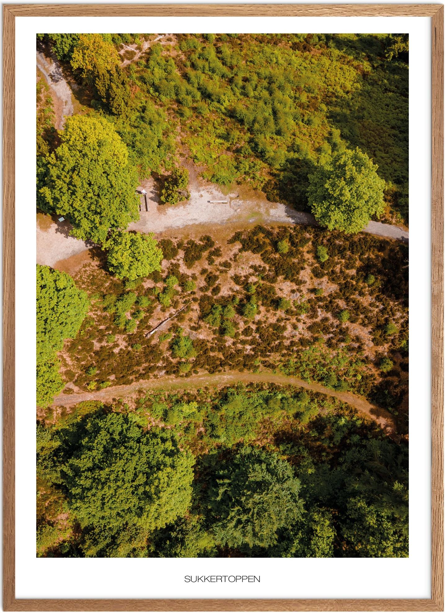 Plakat Sukkertoppen Naturplakat Plakater Østjylland Plakat Plakatsnedkeren Plakater Midtjylland - Plakatsnedkeren Plakater