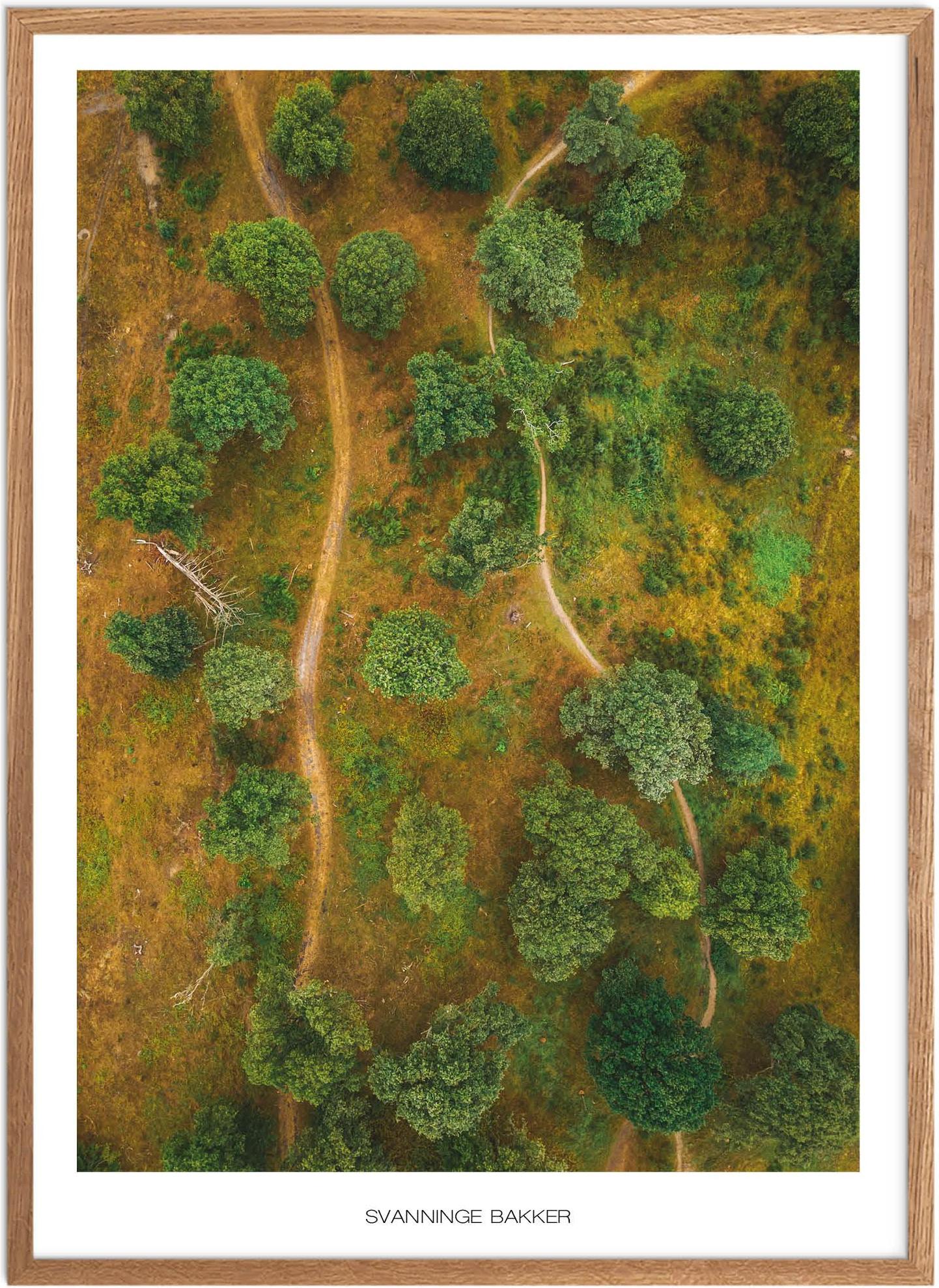 Plakat Svanninge Bakker Naturplakat Plakater Fyn Plakat Plakatsnedkeren Drone Plakater - Plakatsnedkeren Plakater