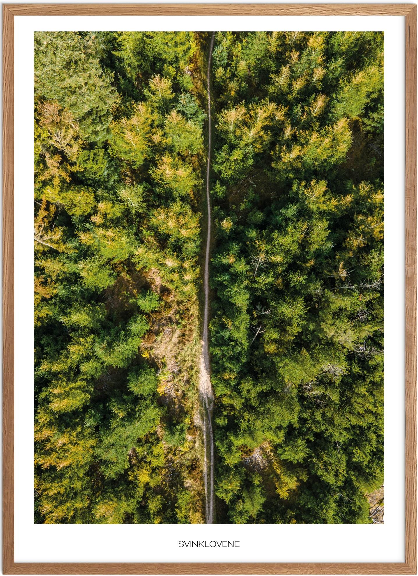 Plakat Svinklovene Naturplakat Plakater Nordjylland Plakat Plakatsnedkeren Drone Plakater - Plakatsnedkeren Plakater