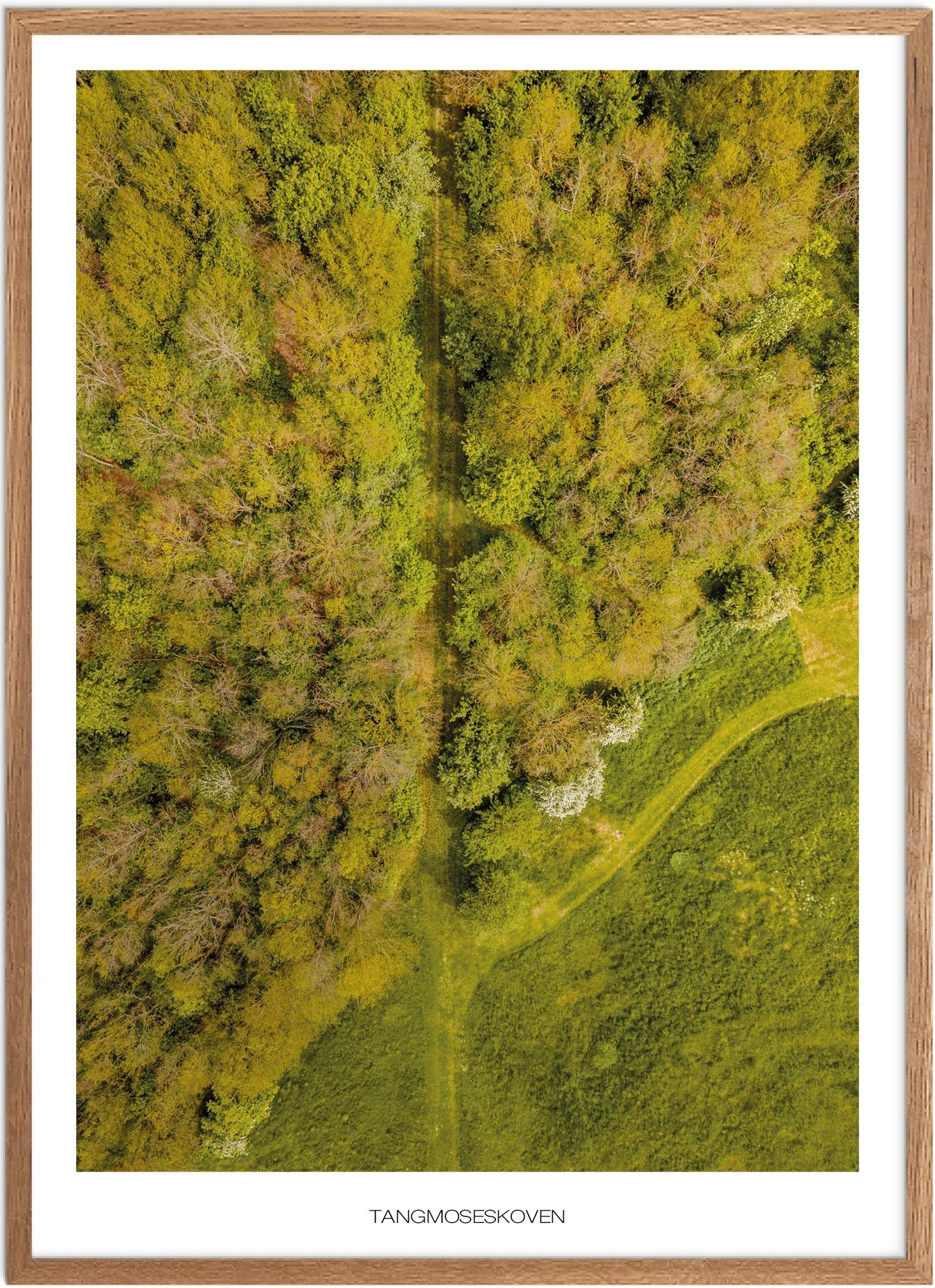 Plakat Tangmoseskoven Naturplakat Recommended Products Seguno Plakat Plakatsnedkeren Drone Plakater - Plakatsnedkeren Plakater