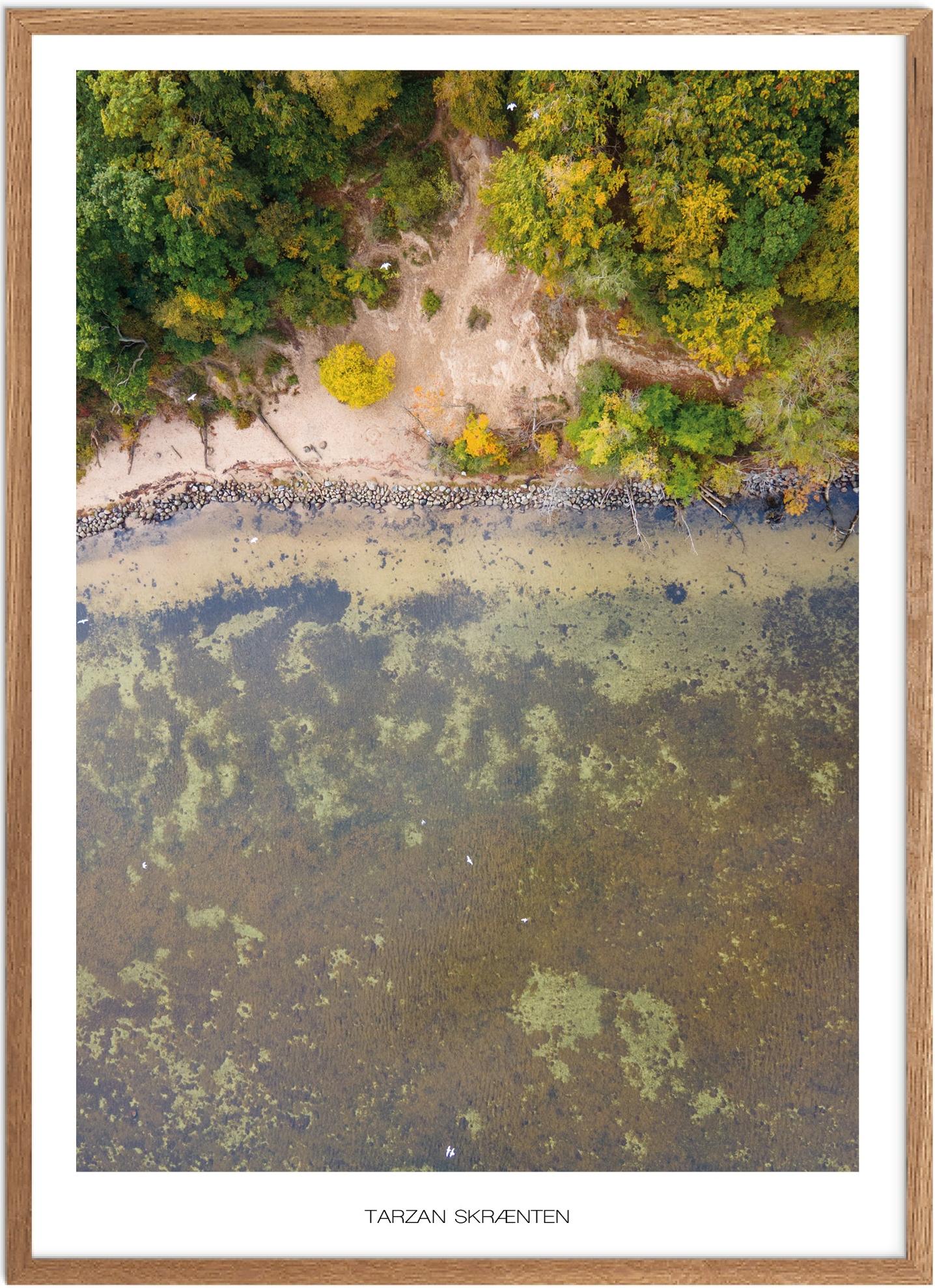 Plakat Tarzan Skrænten Naturplakat Plakater Nordsjælland Plakat Plakatsnedkeren Drone Plakater - Plakatsnedkeren Plakater