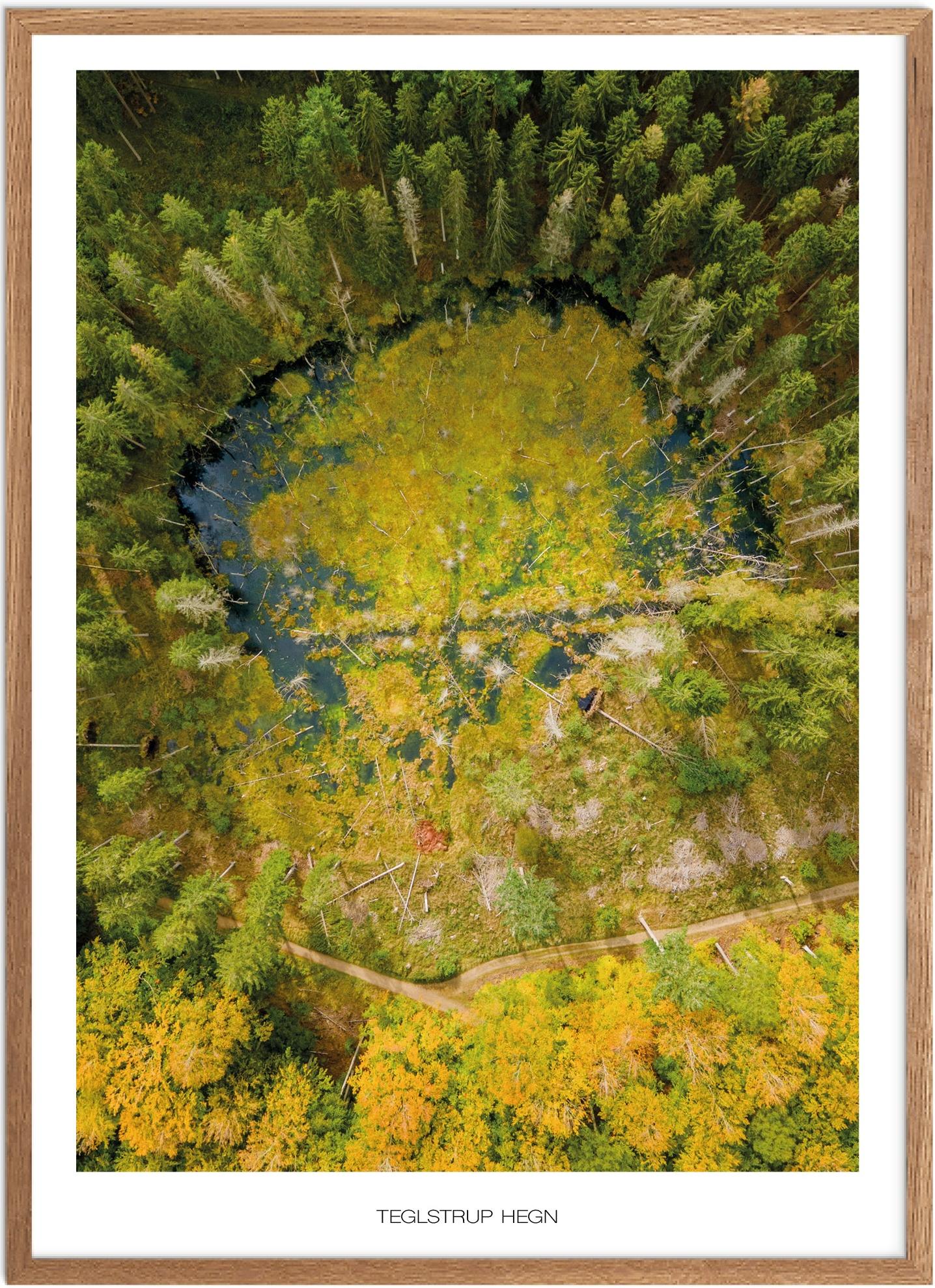 Plakat Teglstrup Hegn Naturplakat Plakater Nordsjælland Plakat Plakatsnedkeren Drone Plakater - Plakatsnedkeren Plakater