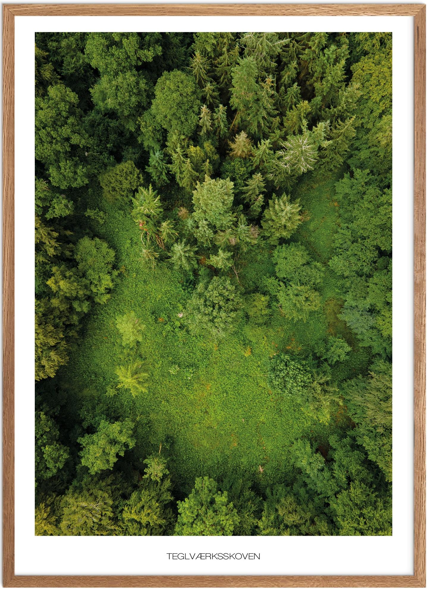 Plakat Teglværksskoven Naturplakat Plakater Fyn Plakat Plakatsnedkeren Drone Plakater - Plakatsnedkeren Plakater