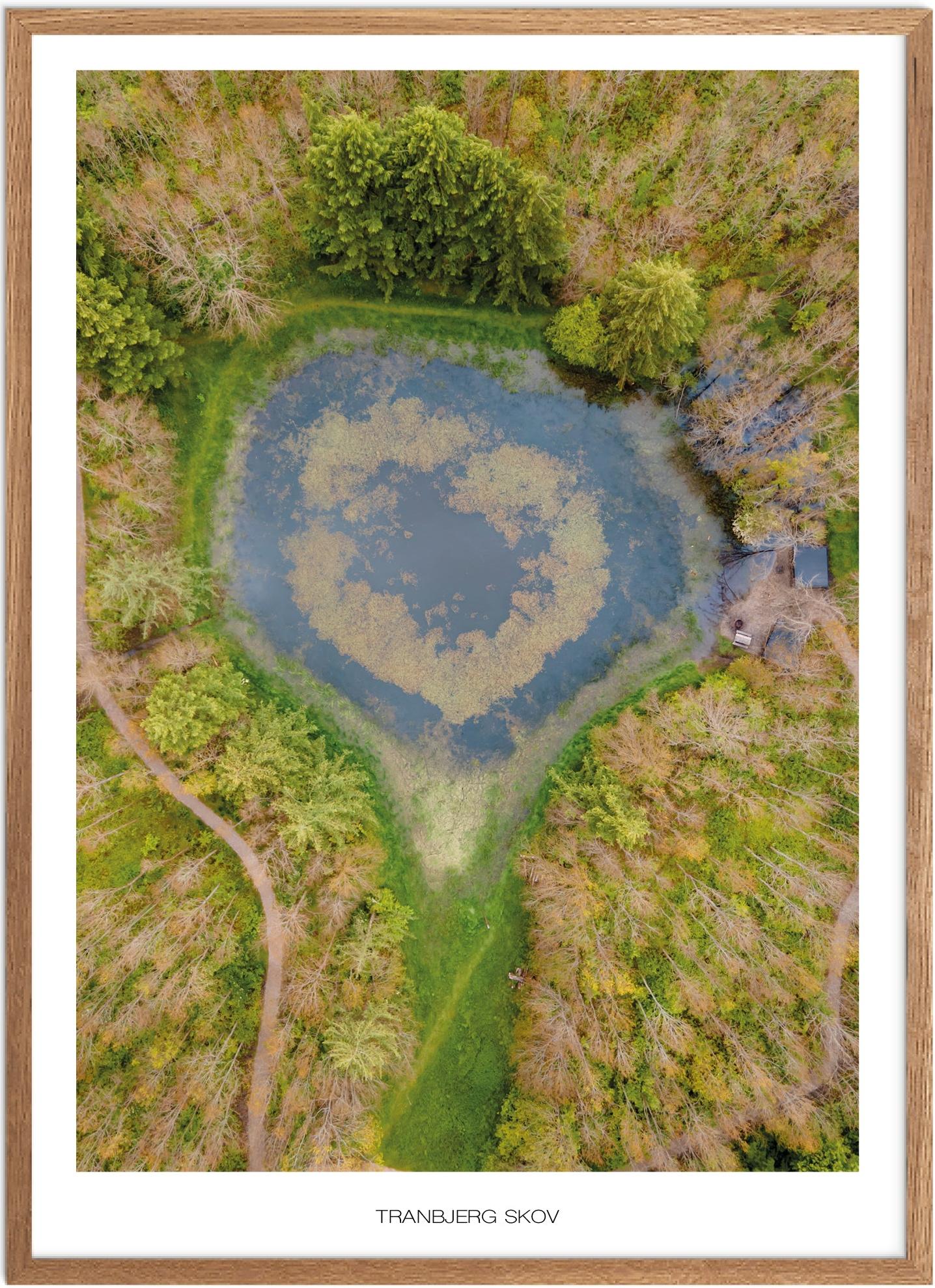 Plakat Tirsbæk Naturplakat Plakater Østjylland Plakat Plakatsnedkeren Drone Plakater - Plakatsnedkeren Plakater