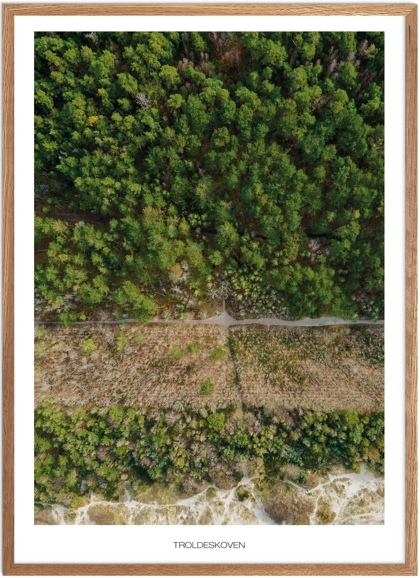 Plakat Troldeskoven Naturplakat Plakater Nordsjælland Plakat Plakatsnedkeren Drone Plakater - Plakatsnedkeren Plakater