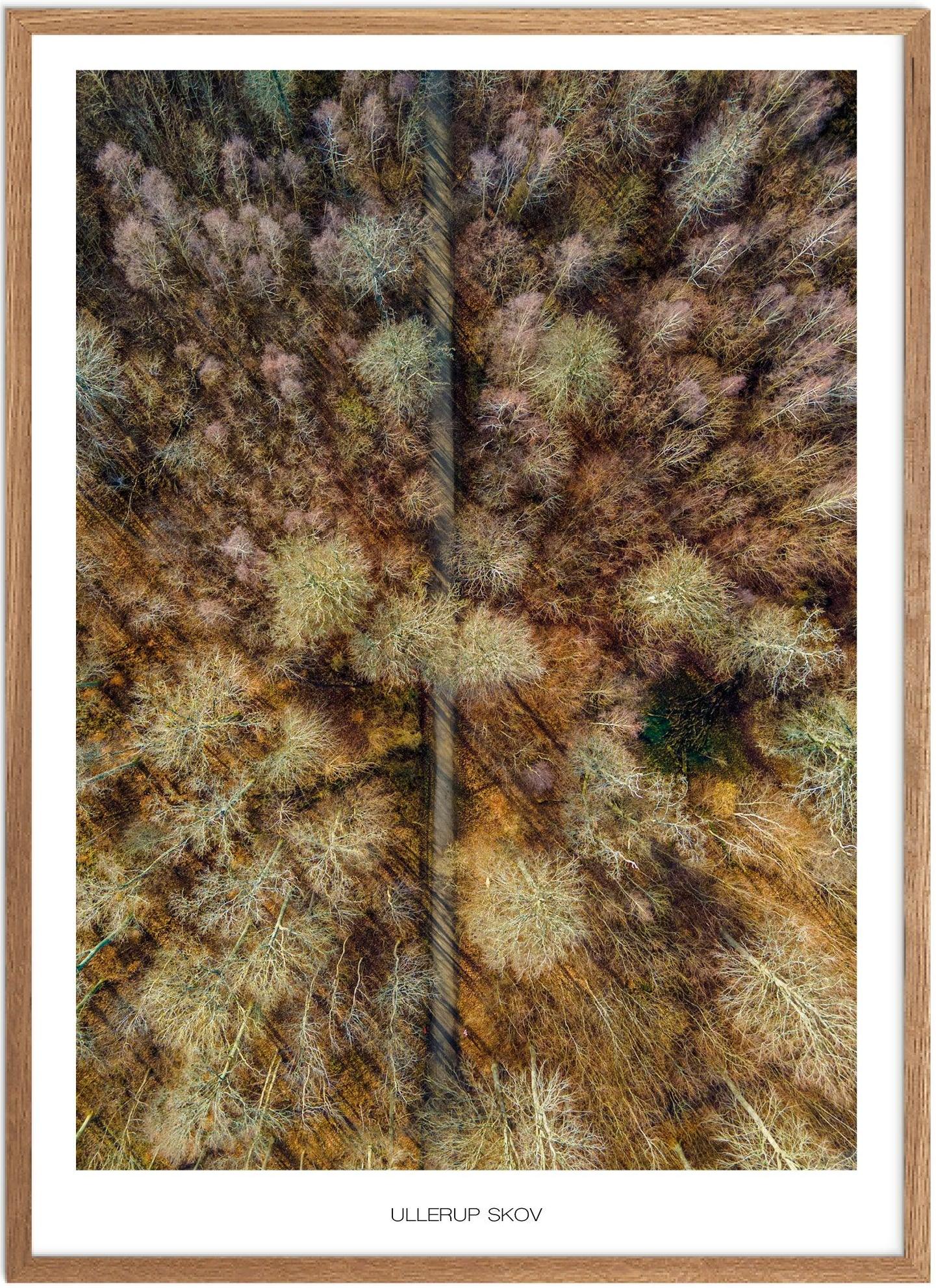 Plakat Ullerup Skov Naturplakat Plakater Nordsjælland Plakat Plakatsnedkeren Drone Plakater - Plakatsnedkeren Plakater